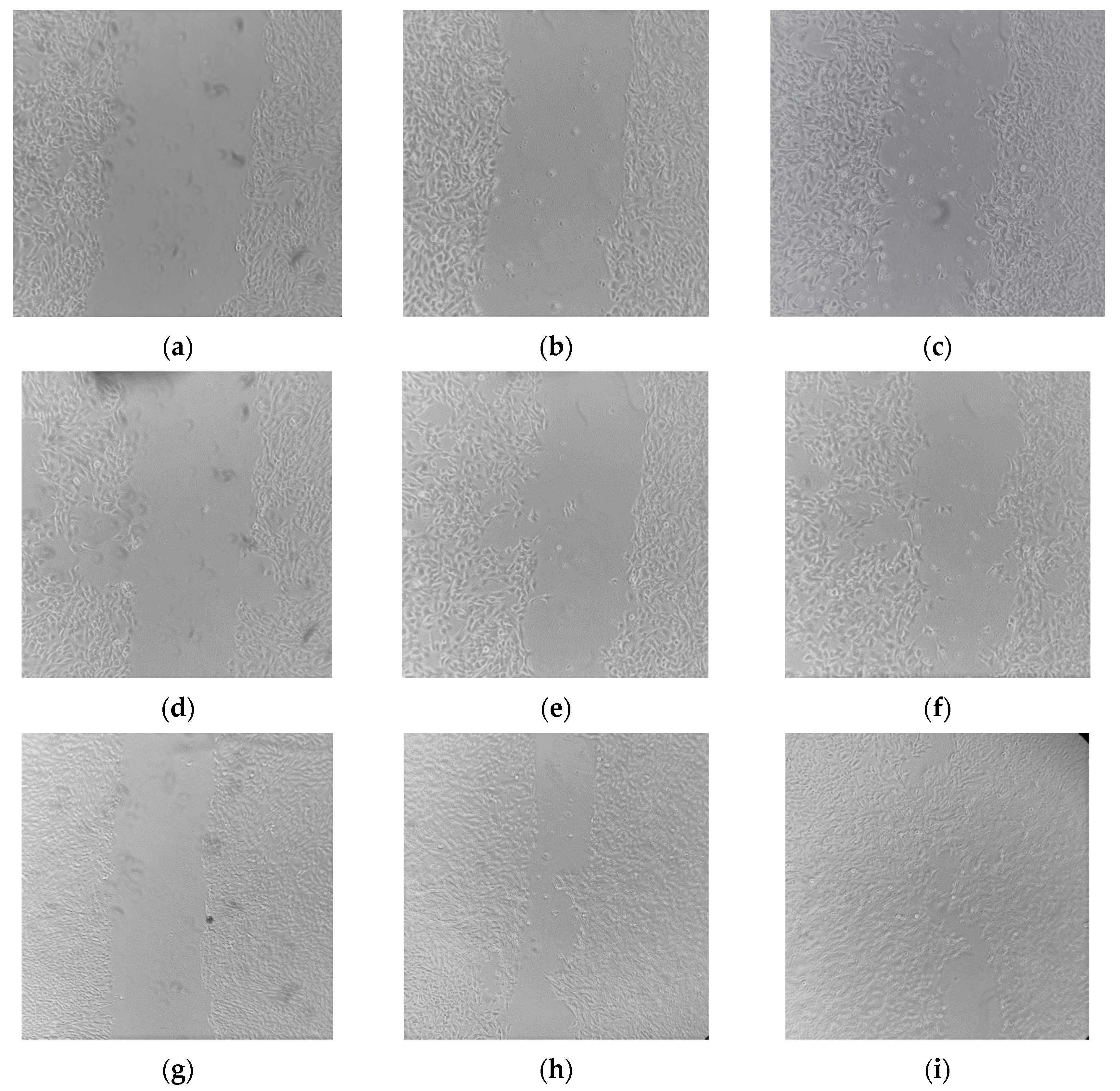 Molecules 28 01177 g006 Molecules 28 01177 g006
