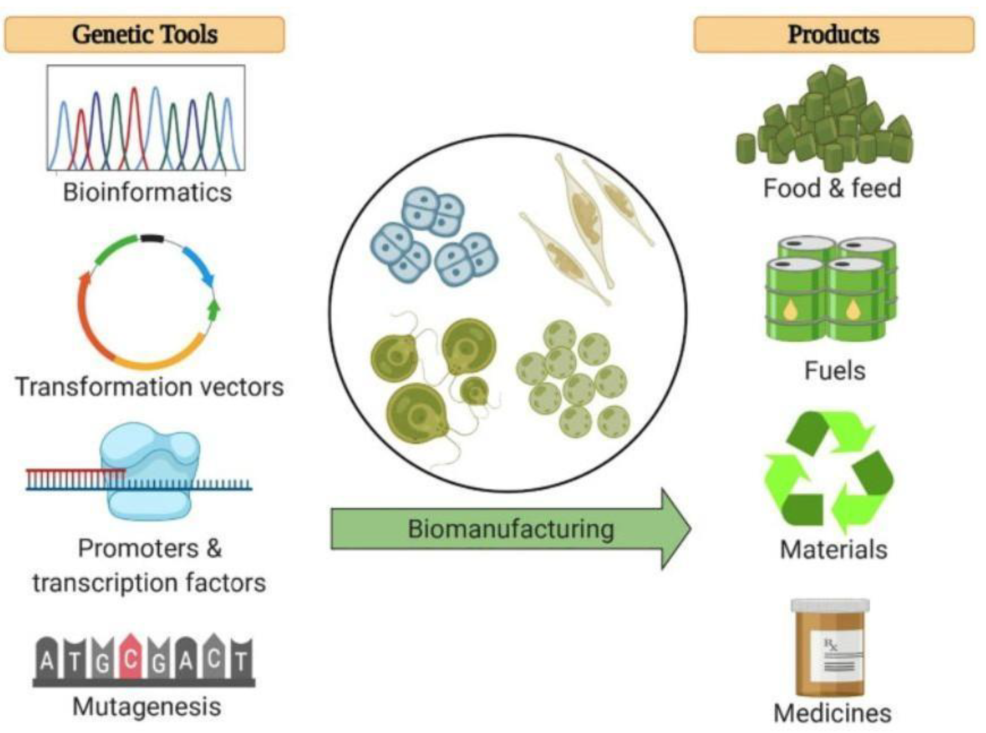 Molecules 28 01185 g002