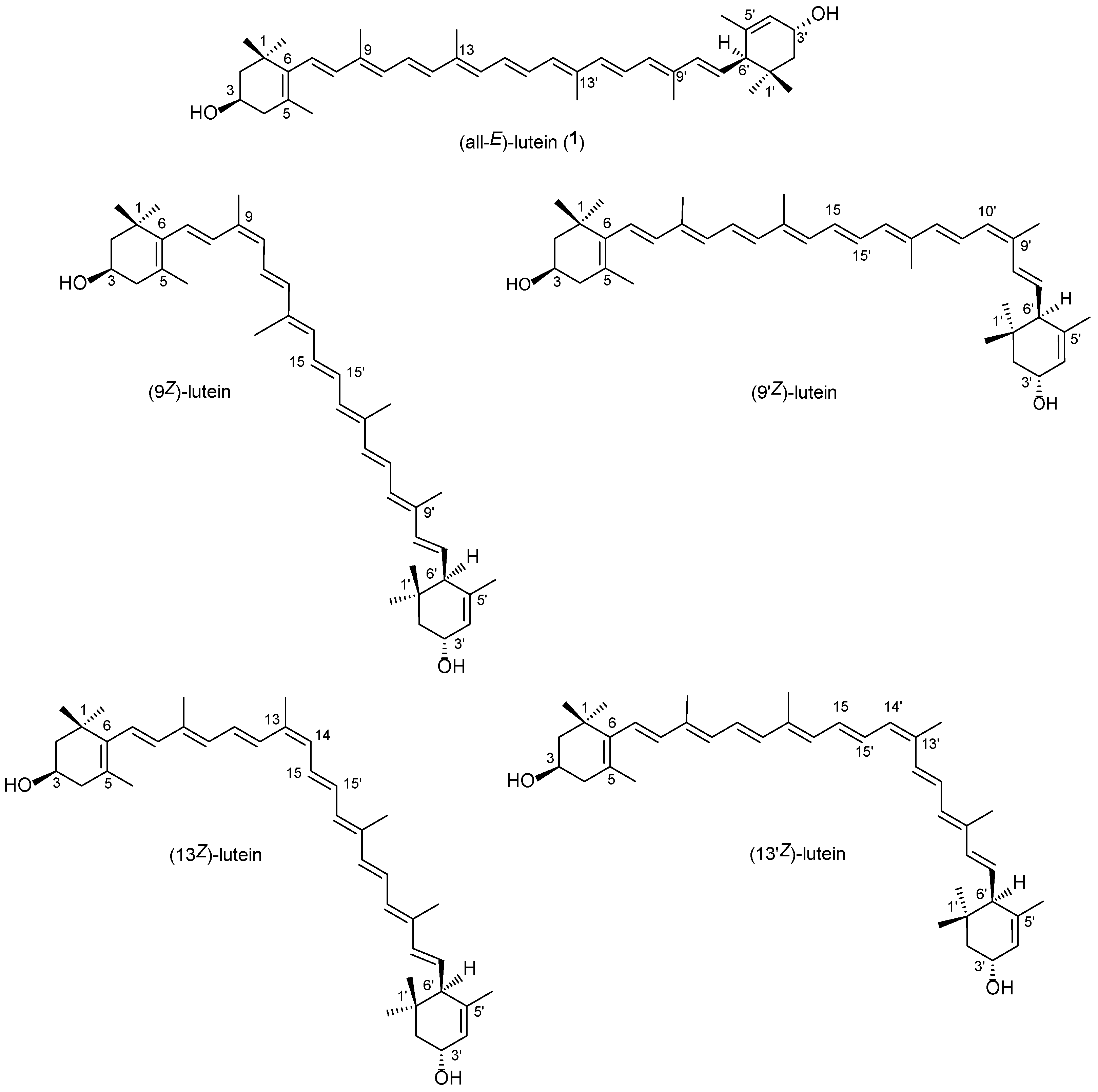 Molecules 28 01187 g001 Molecules 28 01187 g001