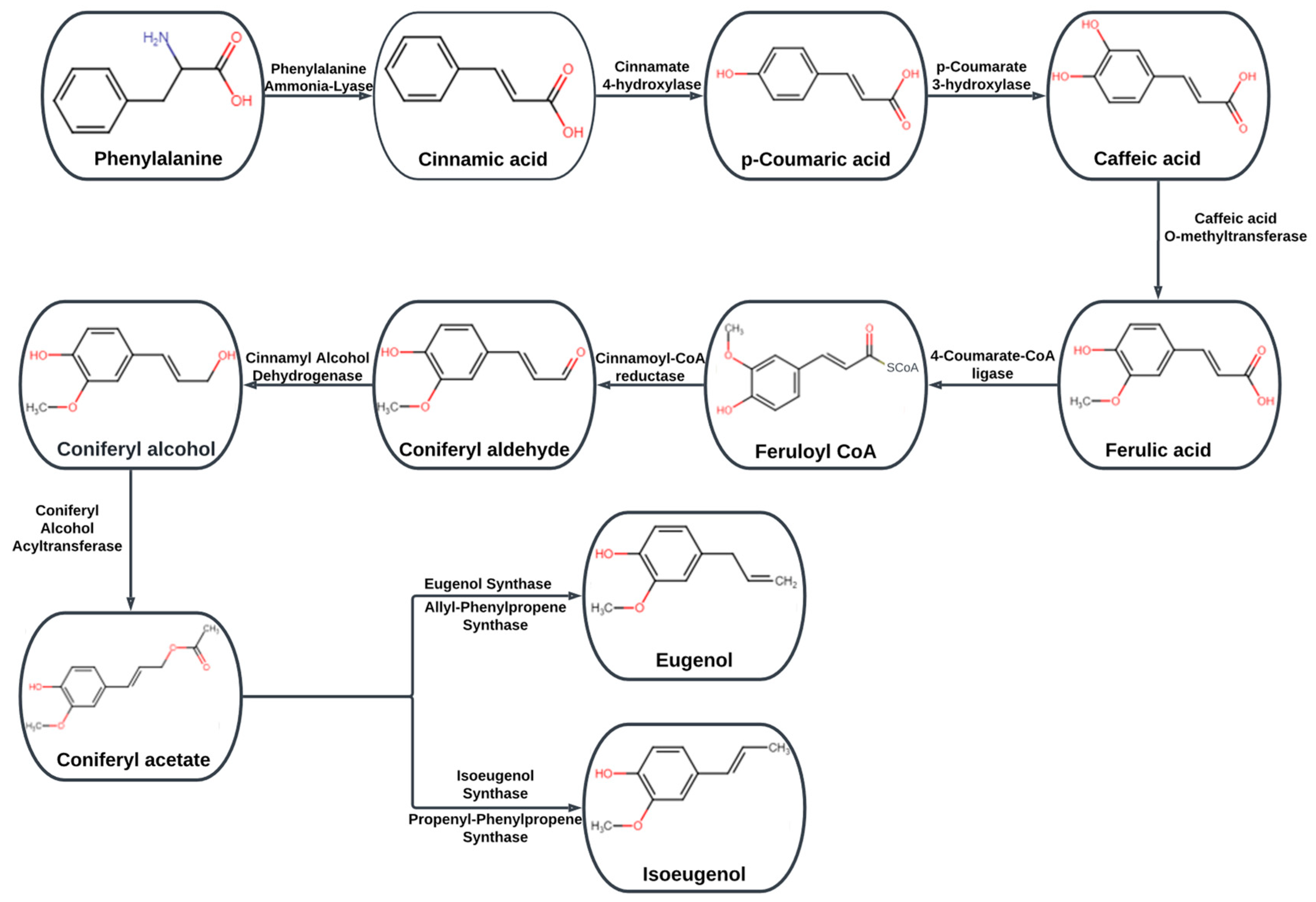 Molecules 28 01193 g002 Molecules 28 01193 g002