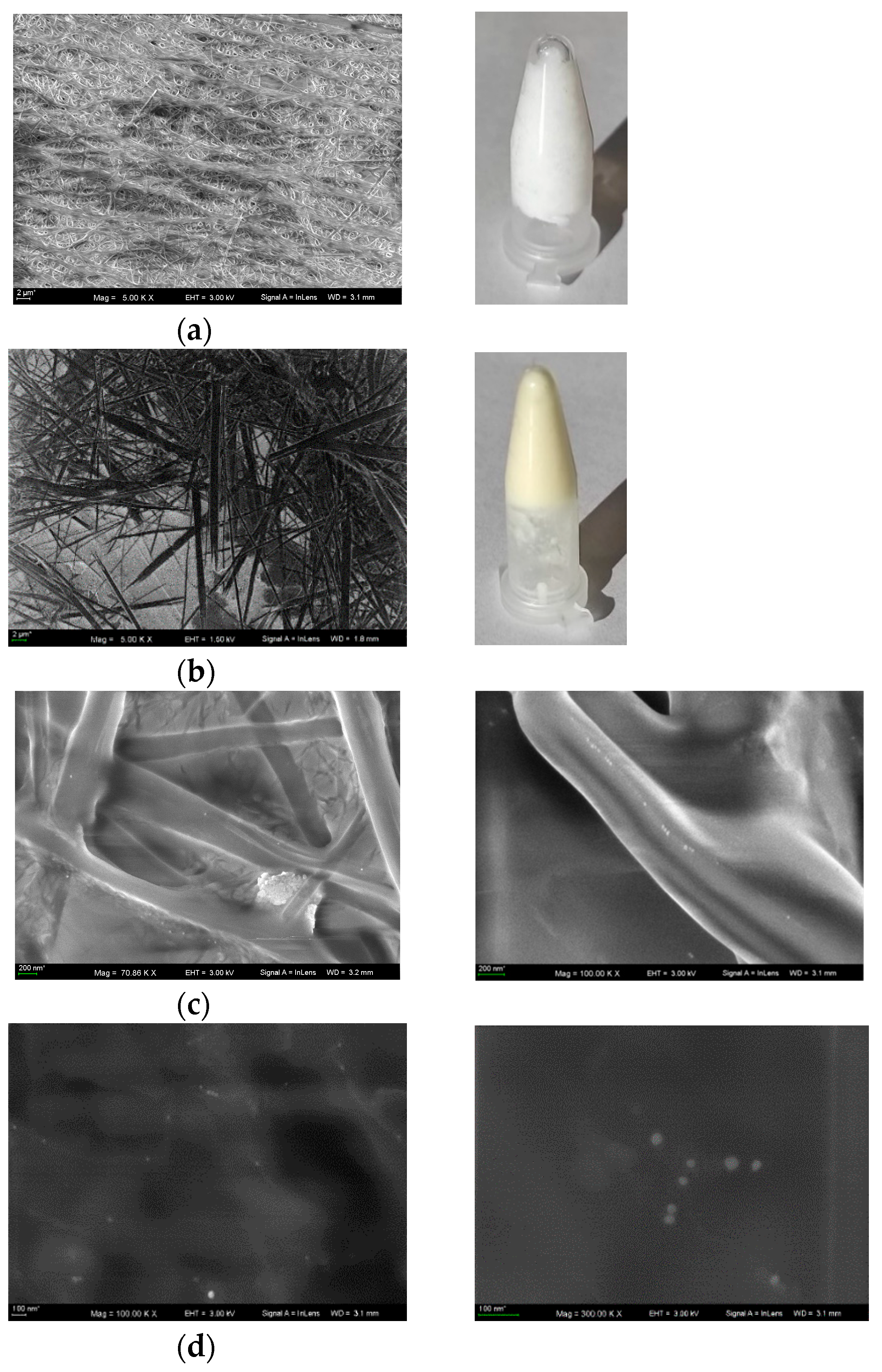 Molecules 28 01194 g005