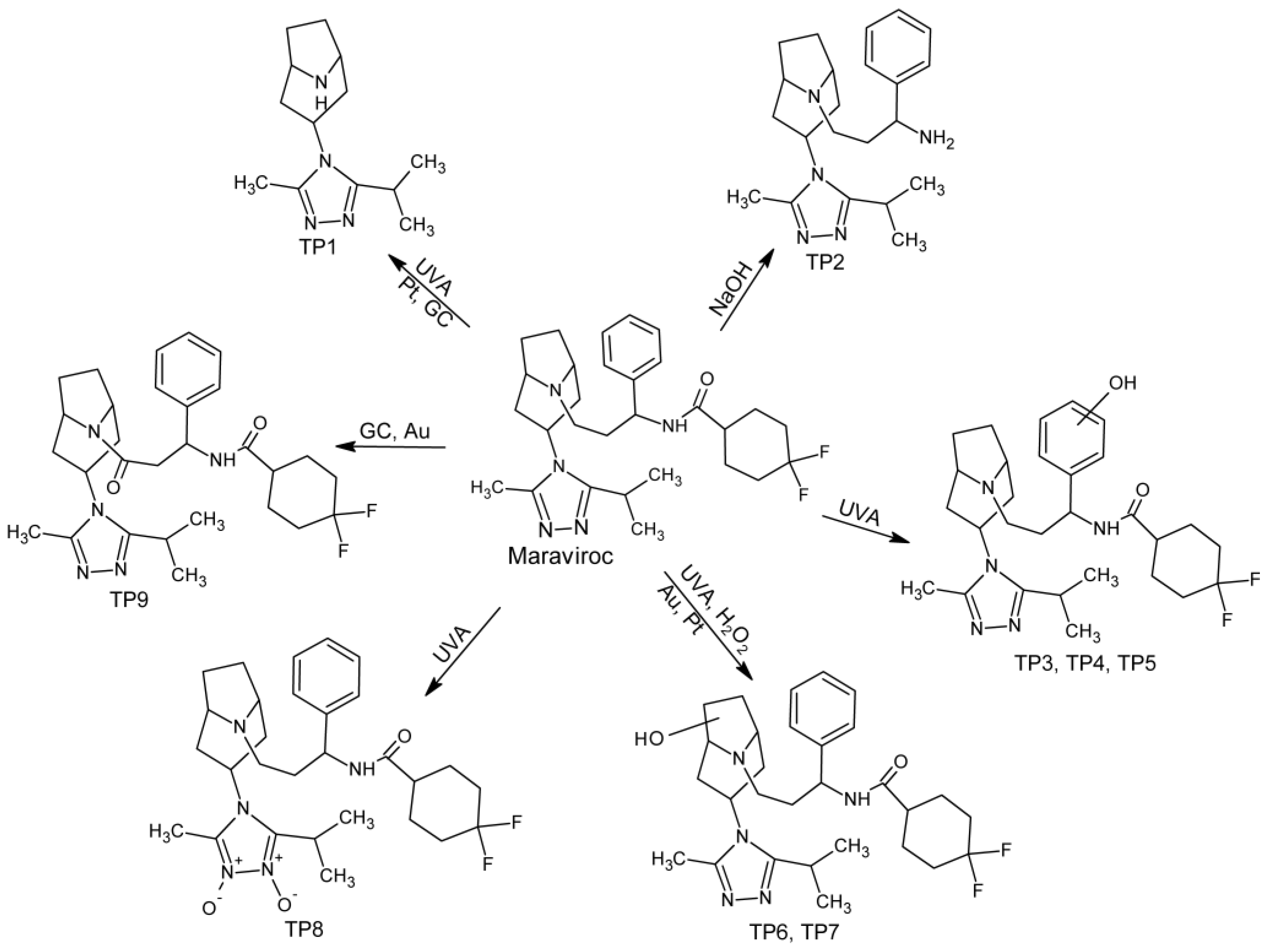 Molecules 28 01195 g003