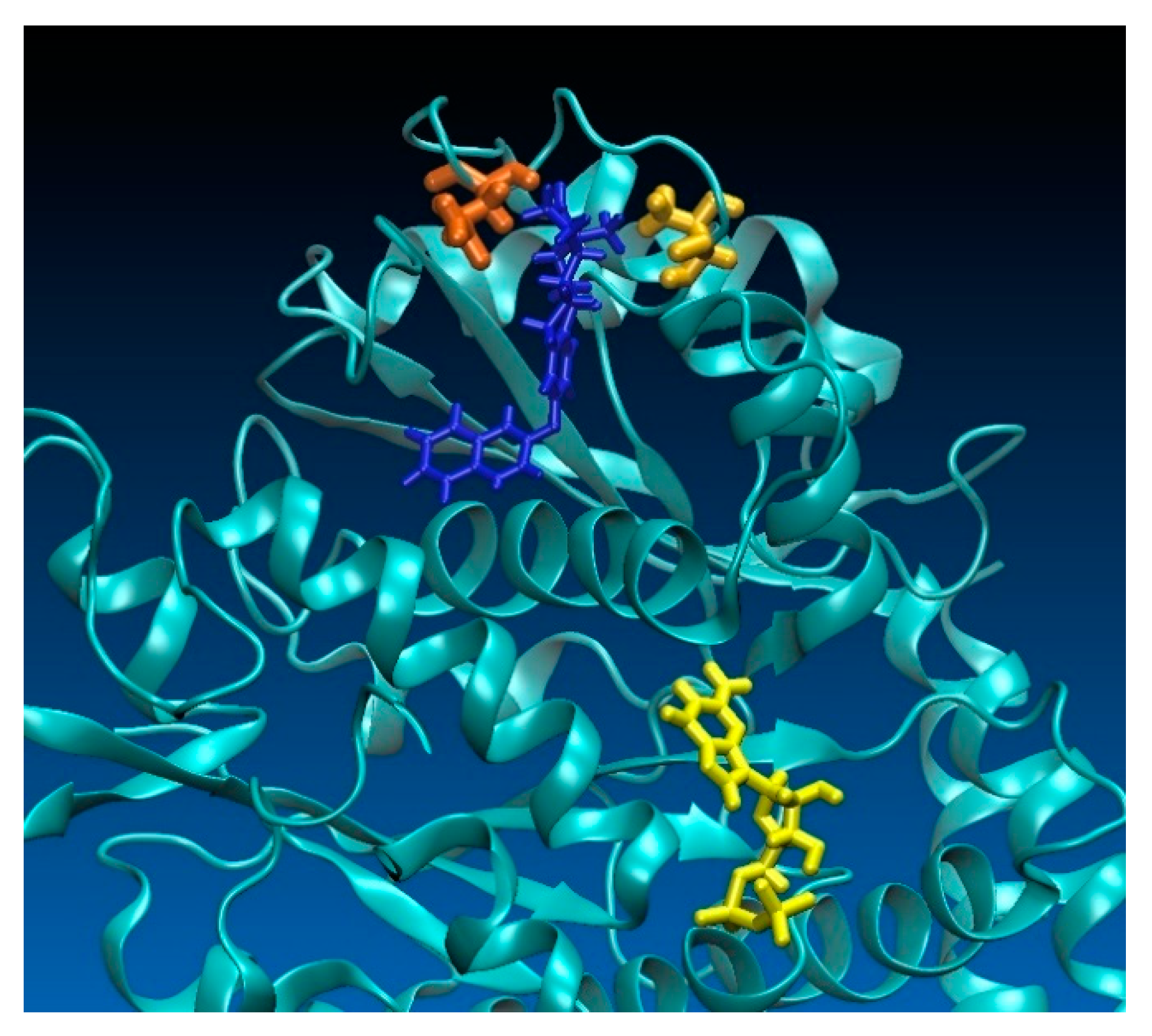 Molecules 28 01196 g006