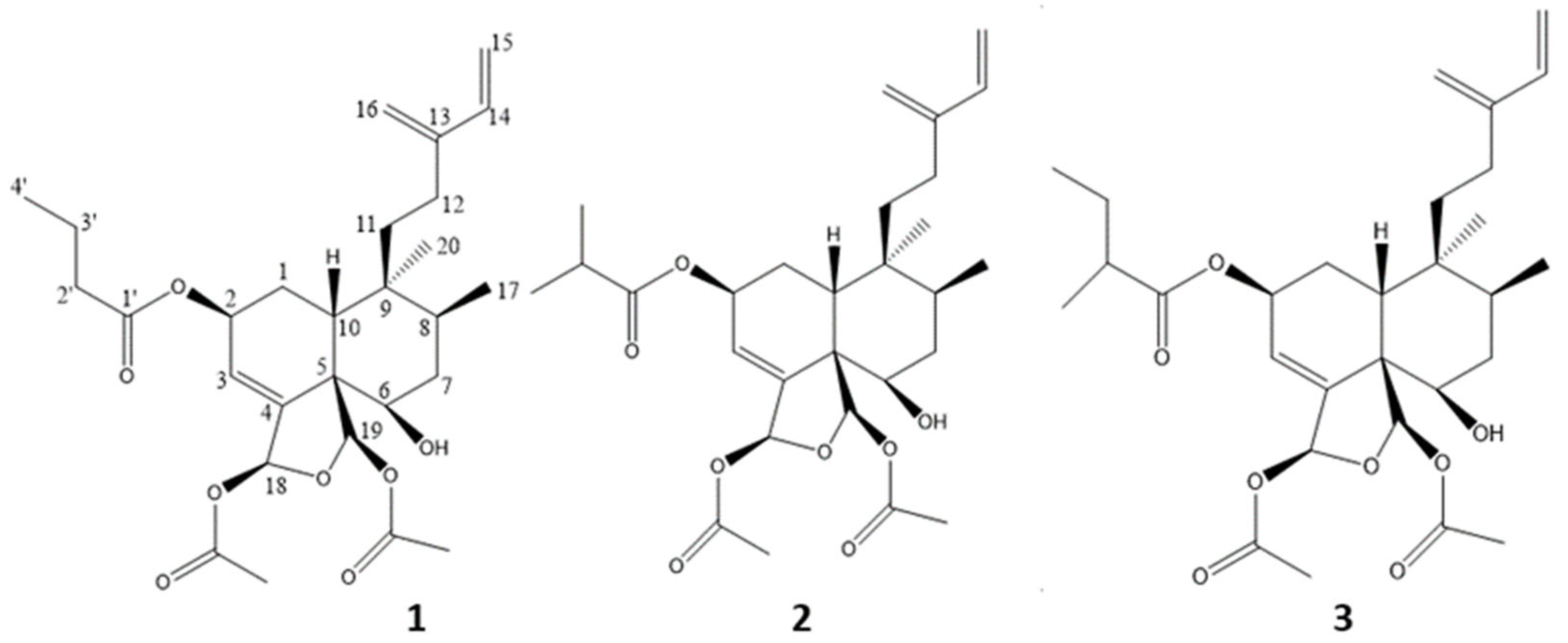 Molecules 28 01197 g001
