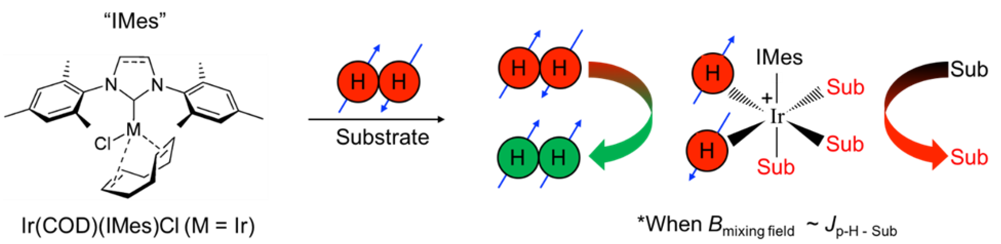 Molecules 28 01198 g001