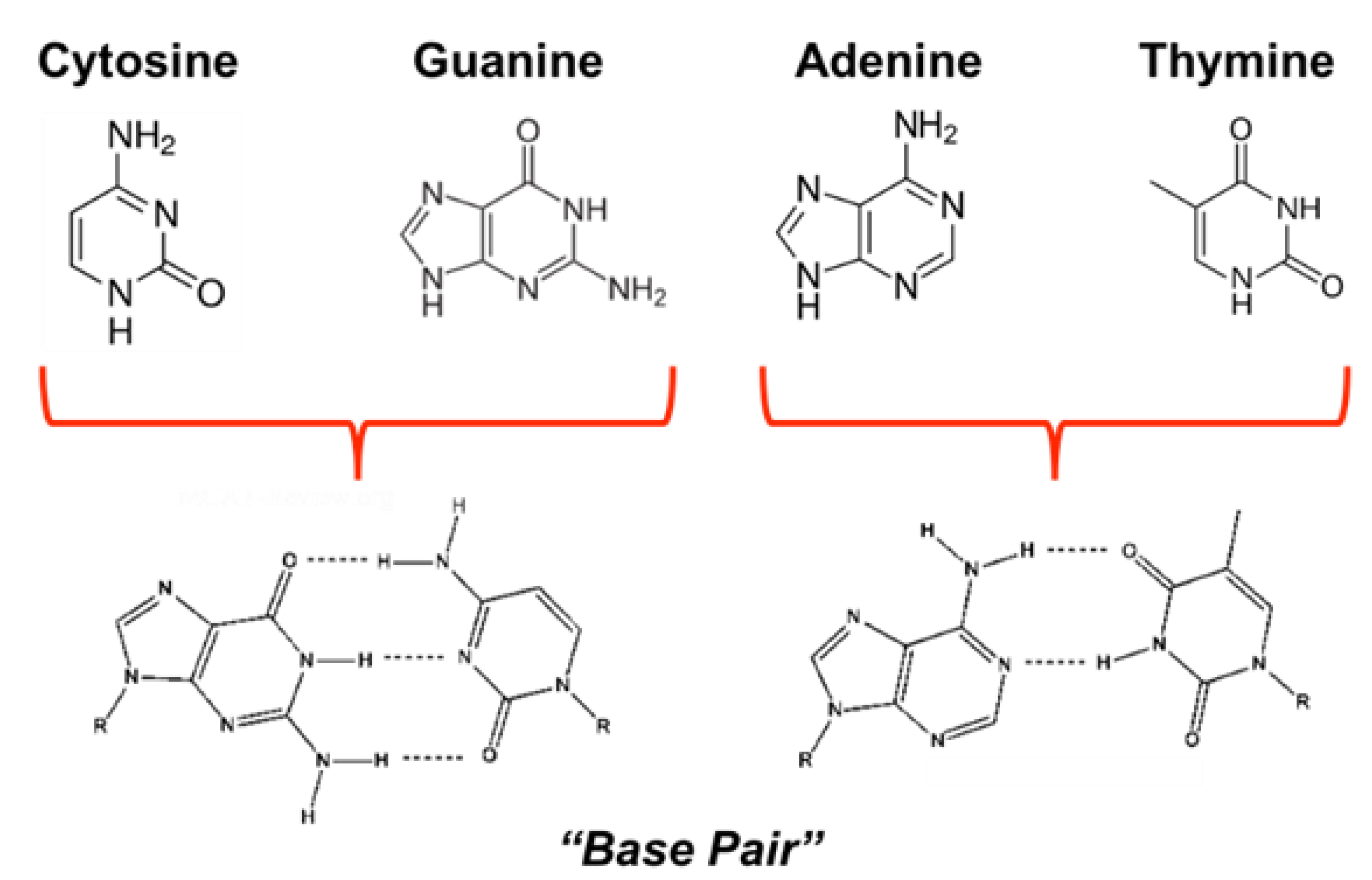 Molecules 28 01198 g002
