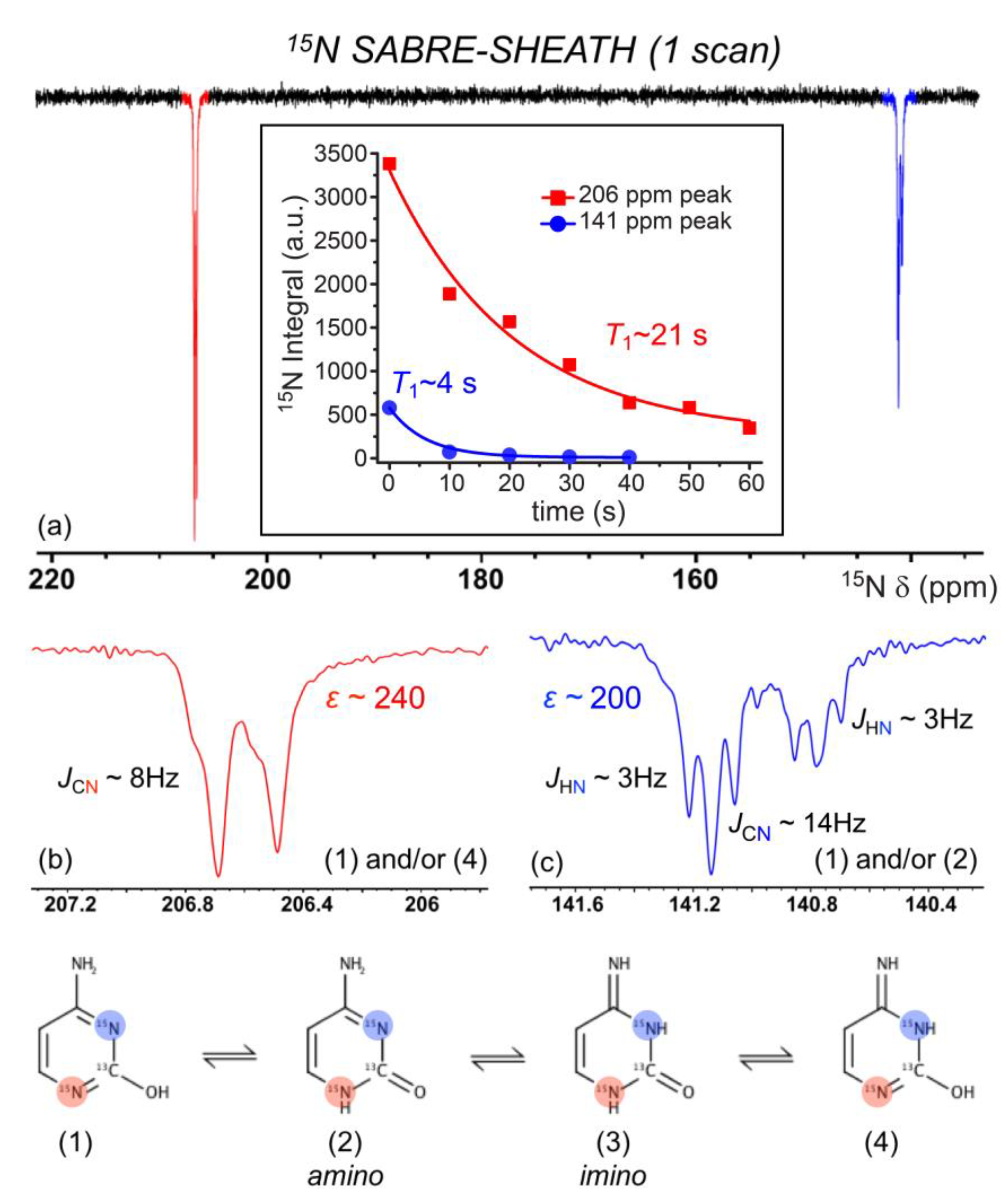 Molecules 28 01198 g008