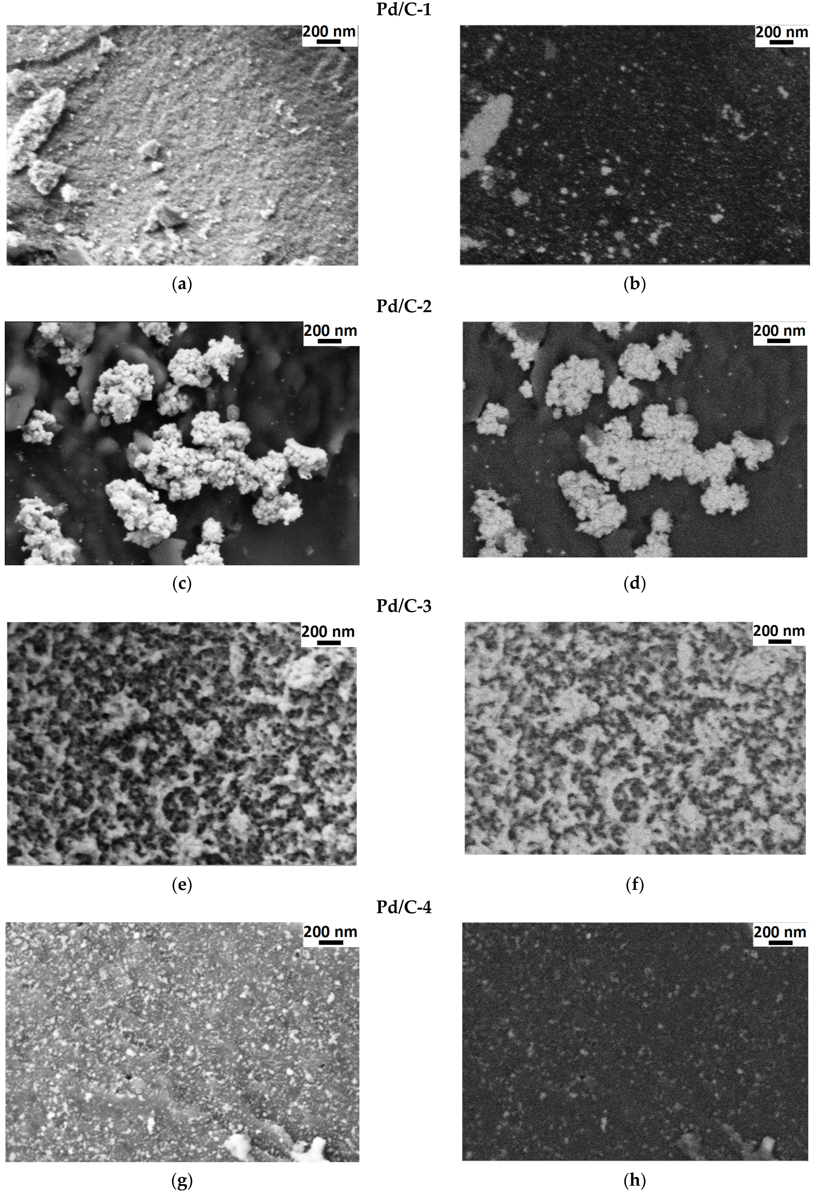 Molecules 28 01201 g005