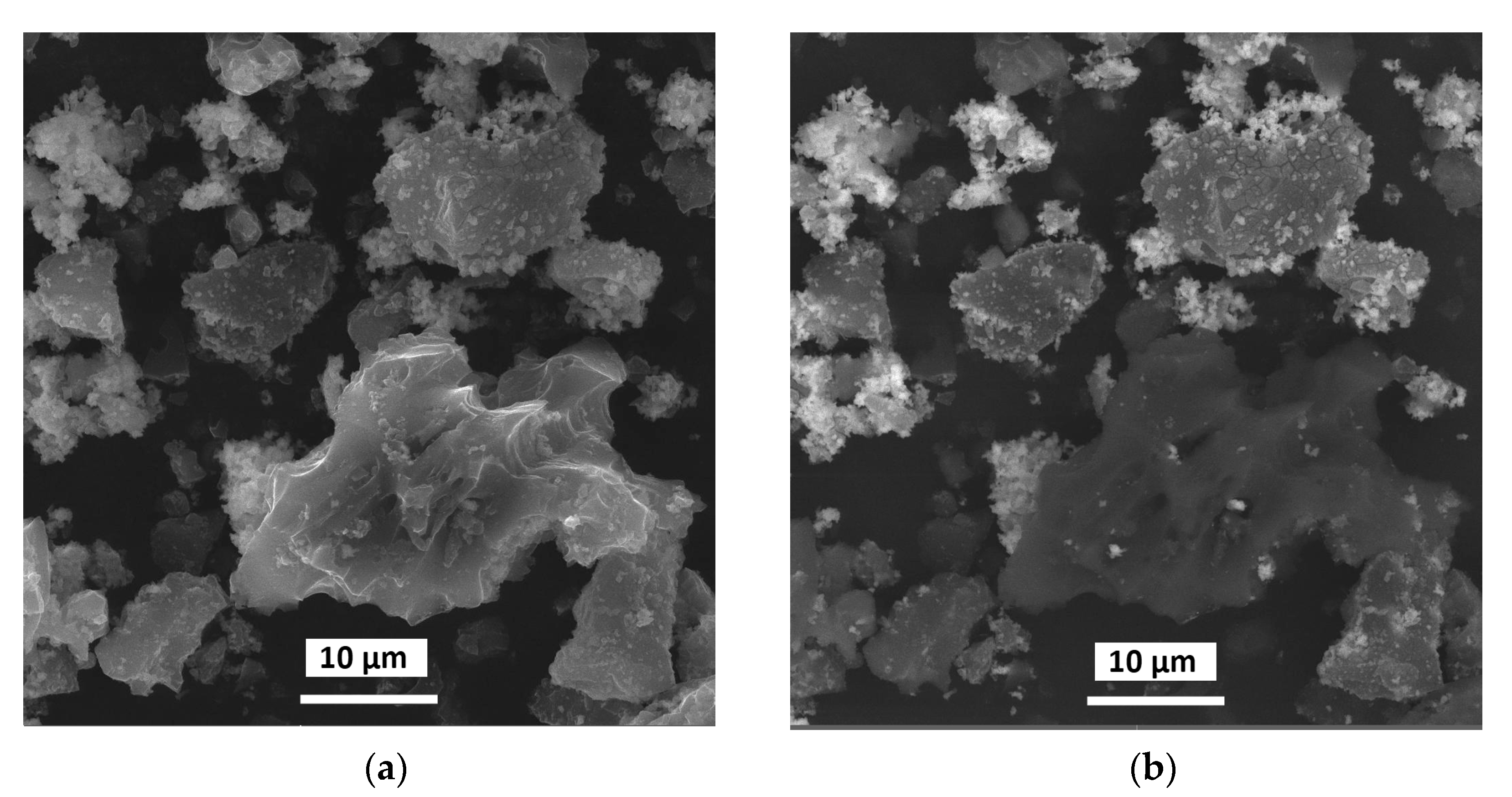 Molecules 28 01201 g008
