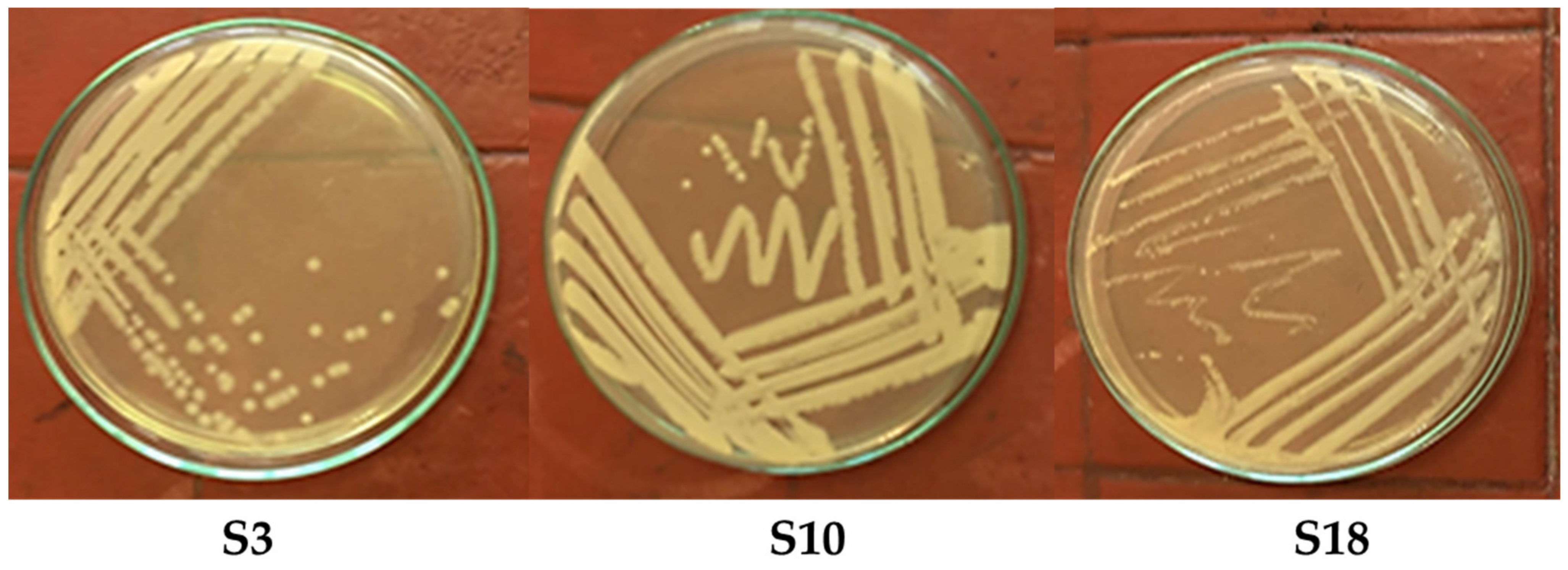 Molecules 28 01203 g001