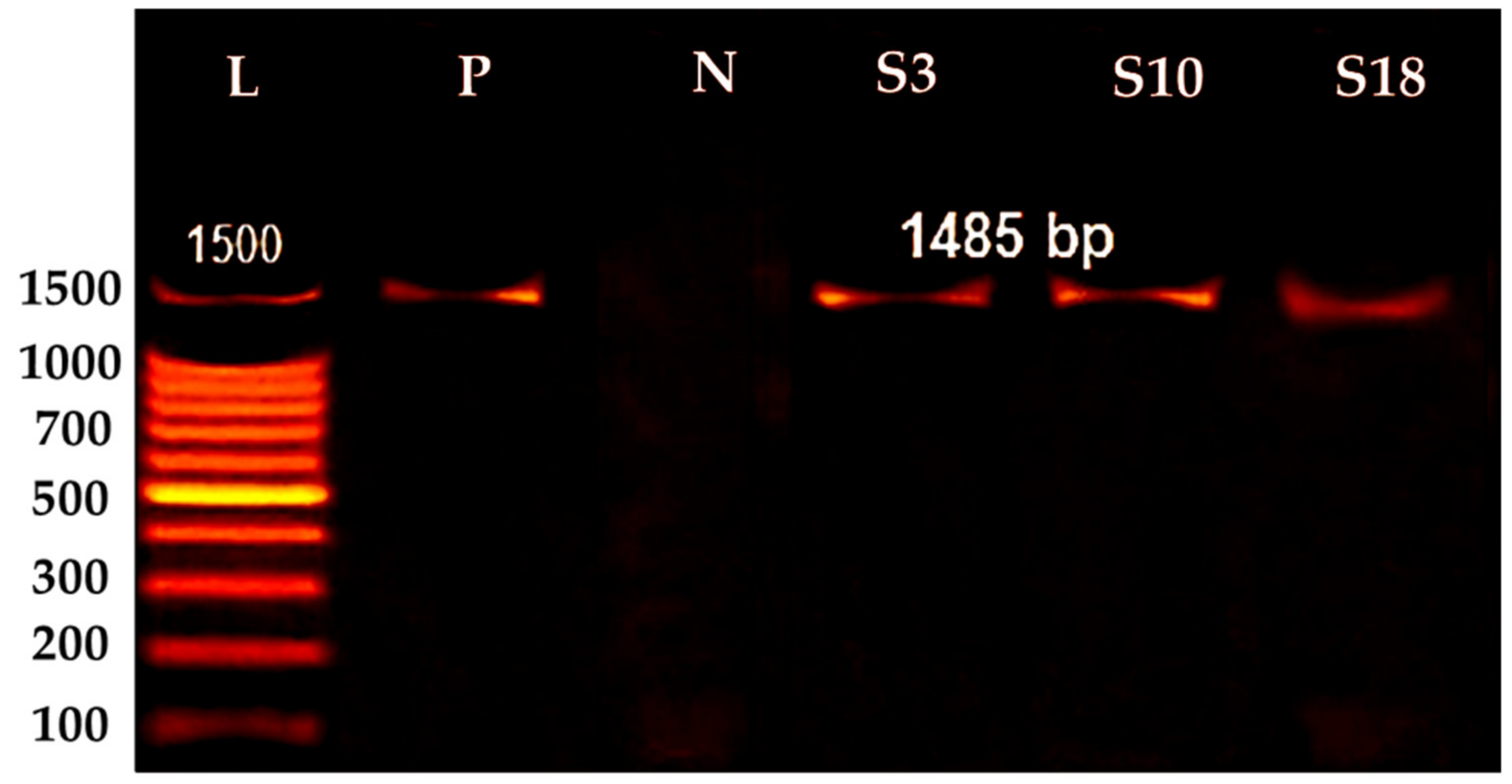 Molecules 28 01203 g002