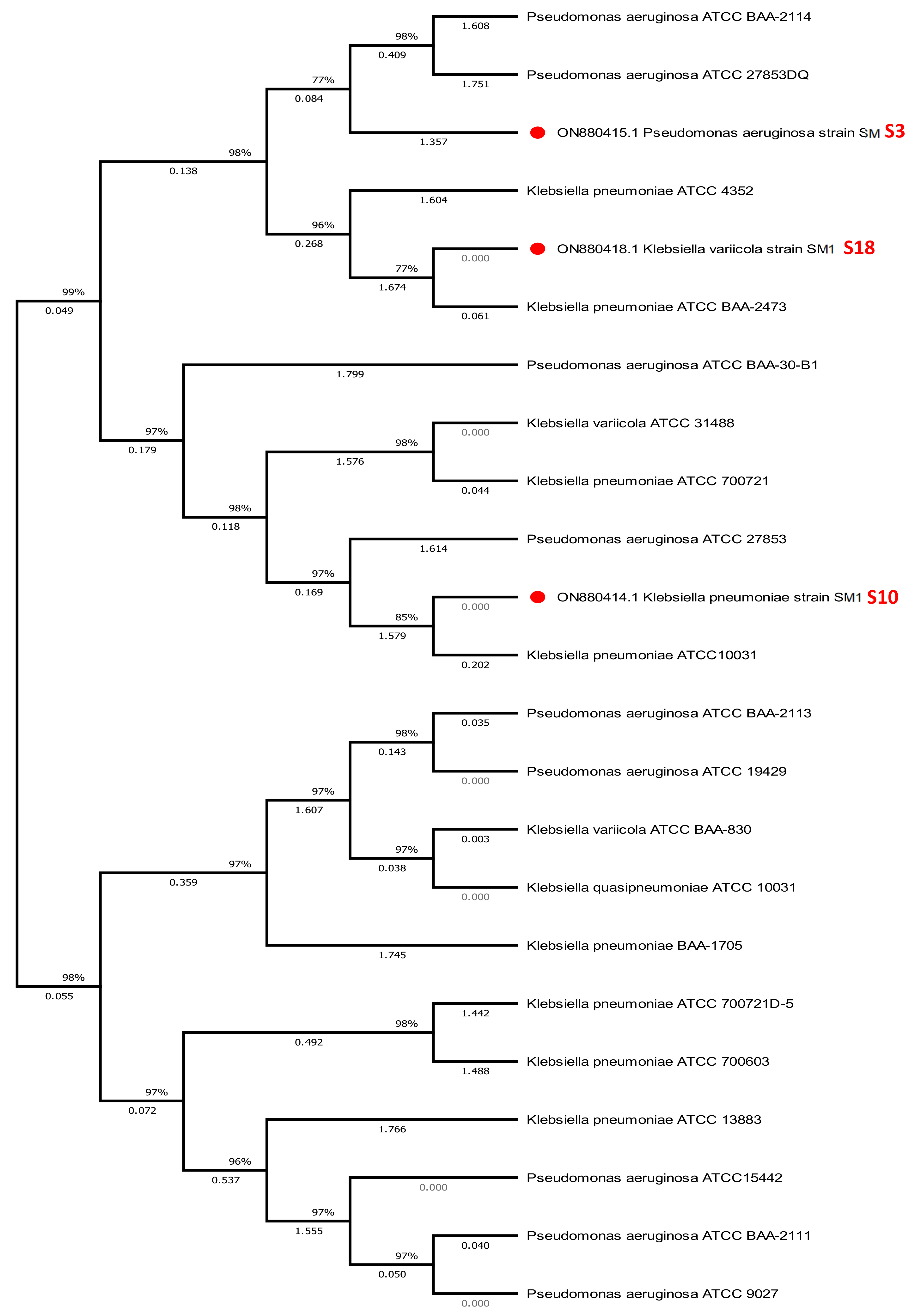 Molecules 28 01203 g003