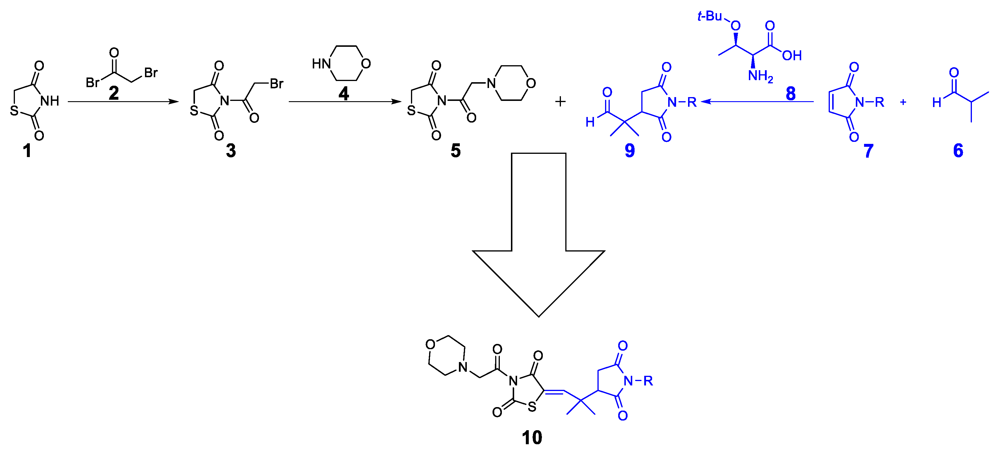 Molecules 28 01207 sch001 Molecules 28 01207 sch001