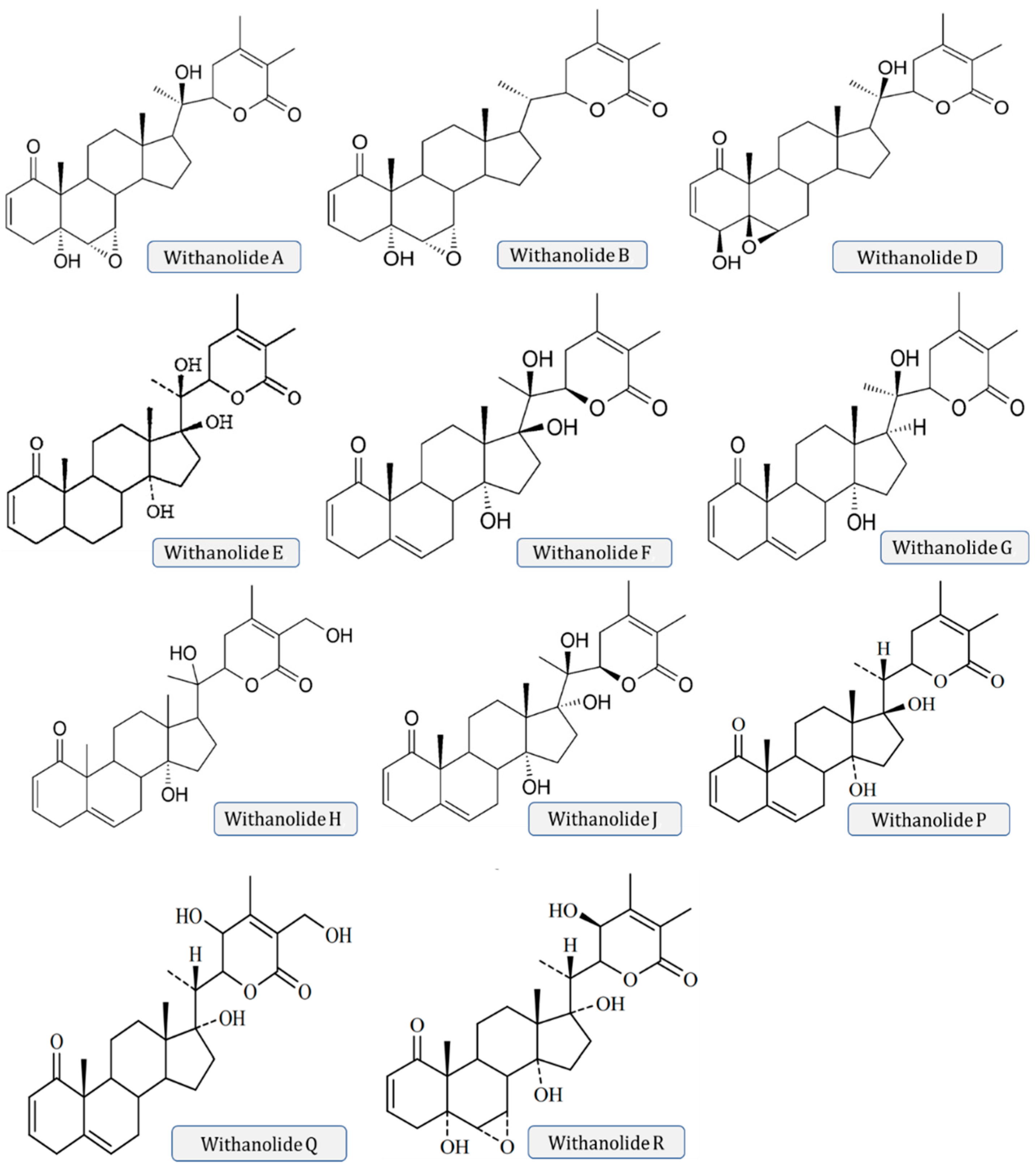 Molecules 28 01208 g003a Molecules 28 01208 g003a