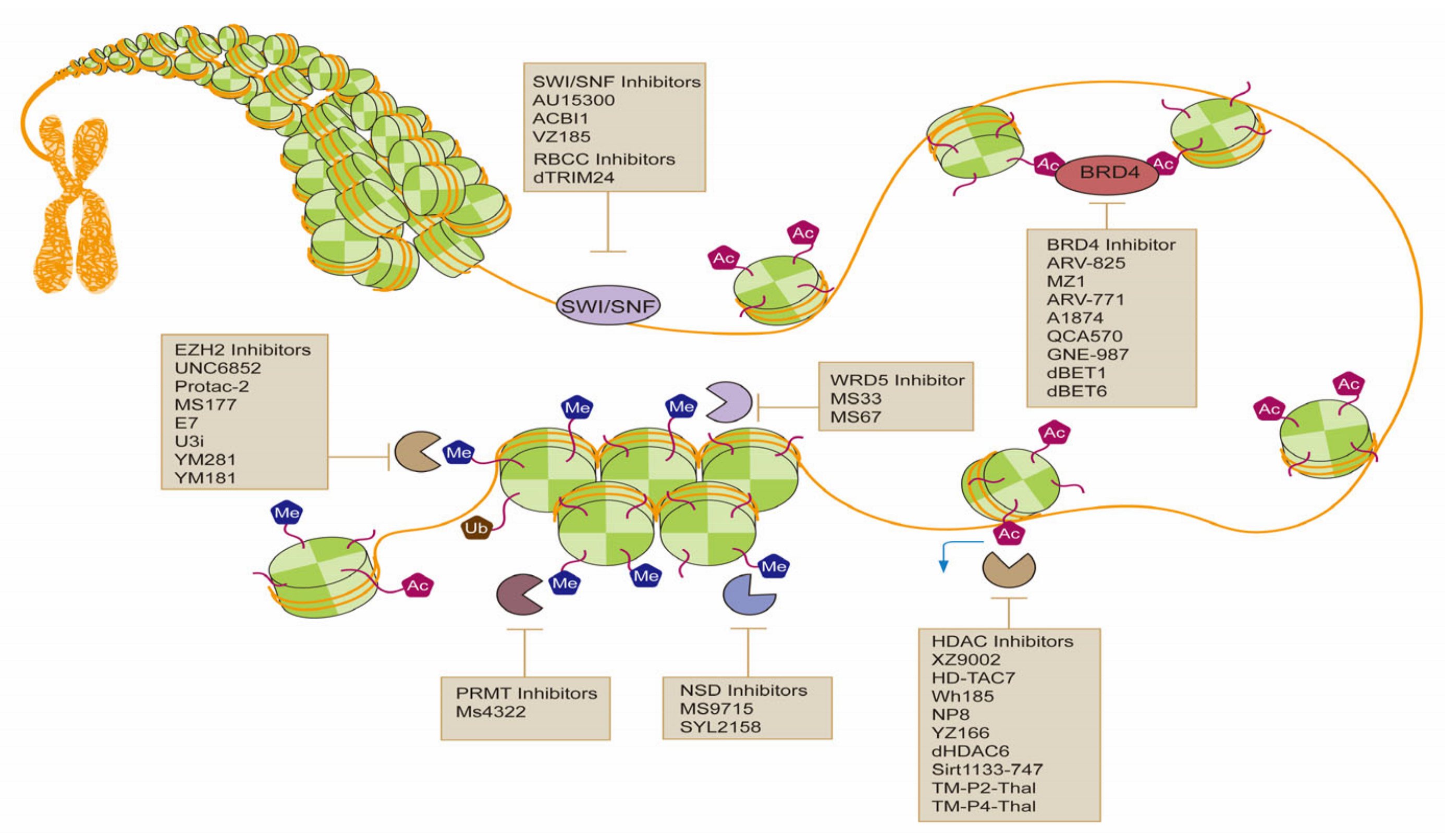 Molecules 28 01217 g002
