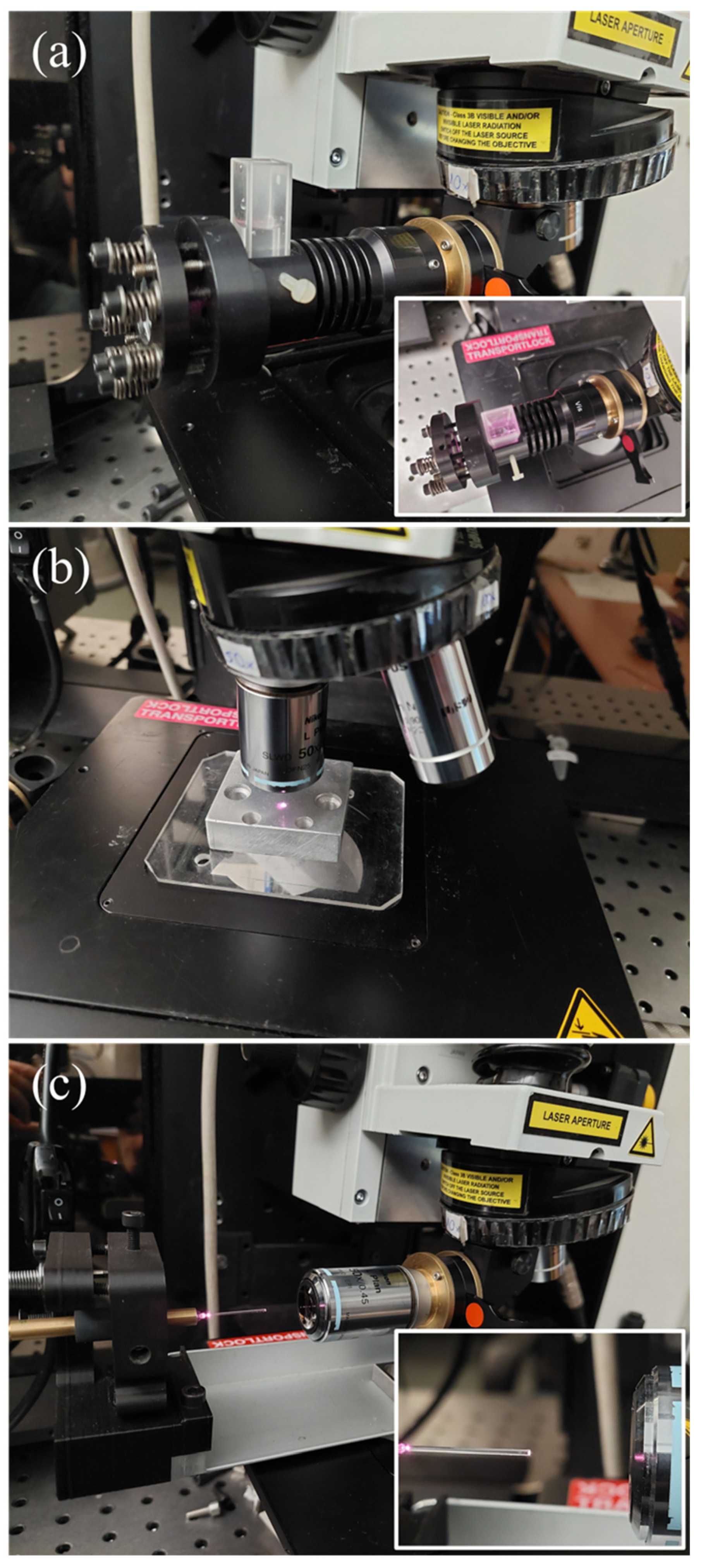 Molecules 28 01221 g001 Molecules 28 01221 g001