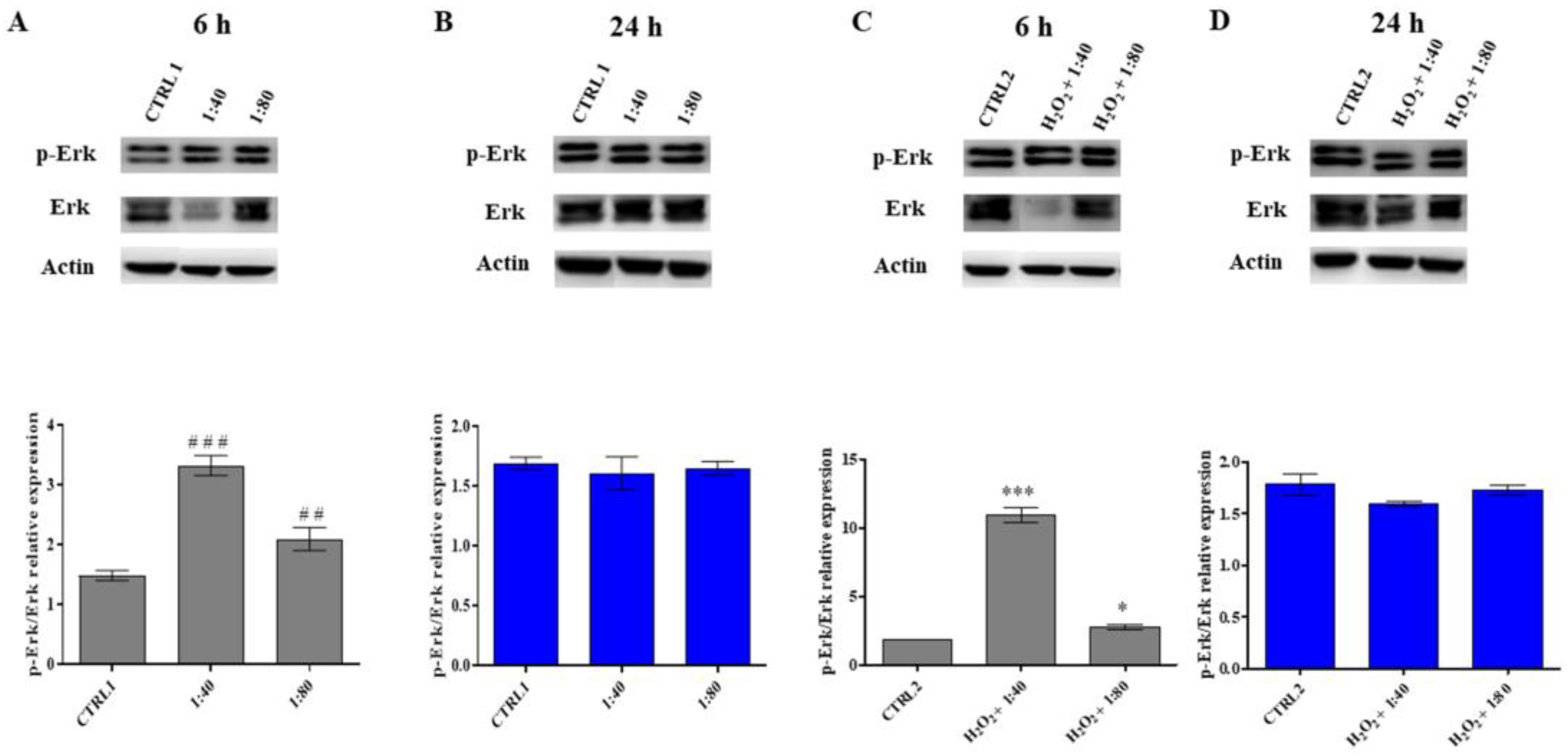 Molecules 28 01222 g006 Molecules 28 01222 g006
