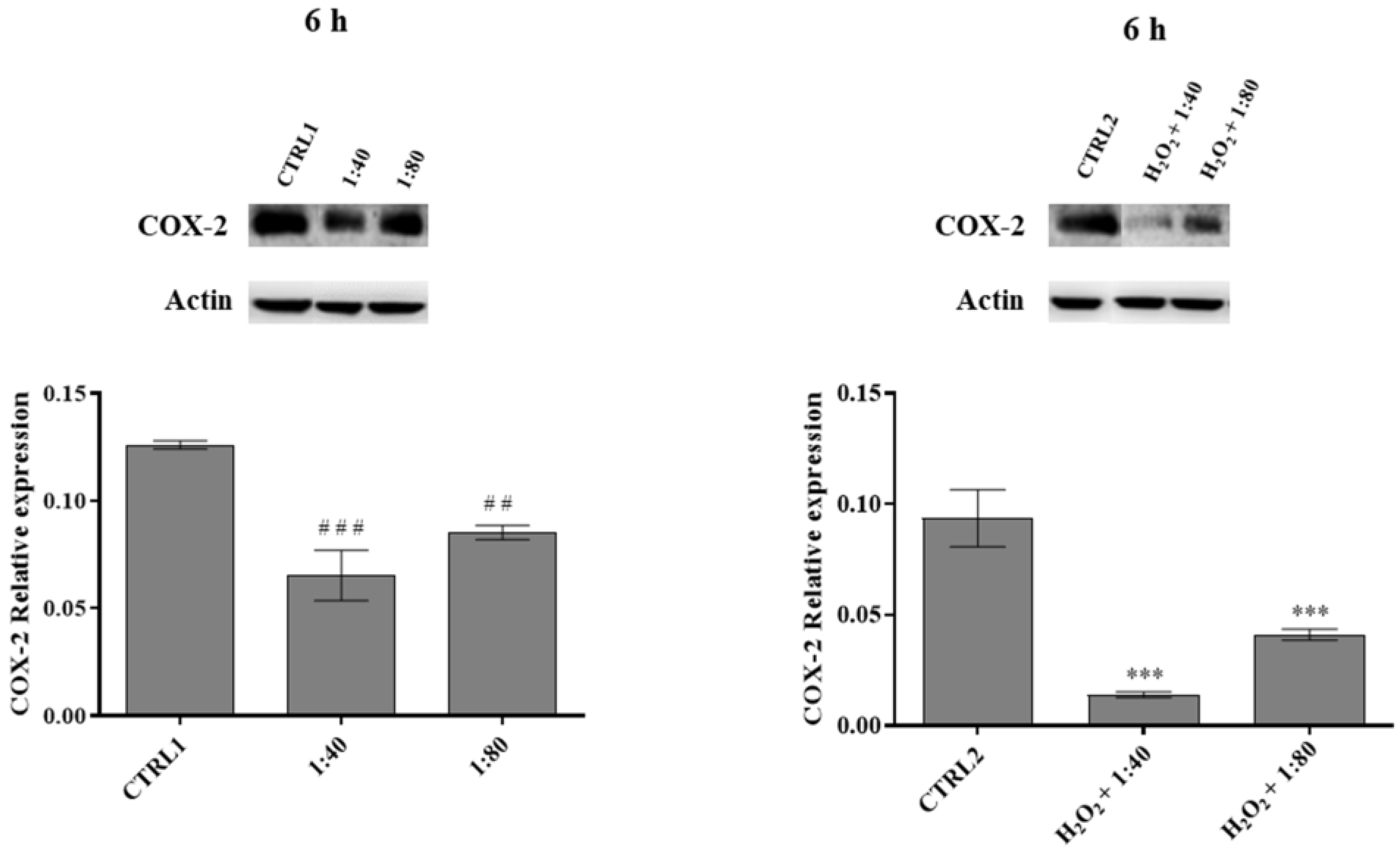 Molecules 28 01222 g007 Molecules 28 01222 g007