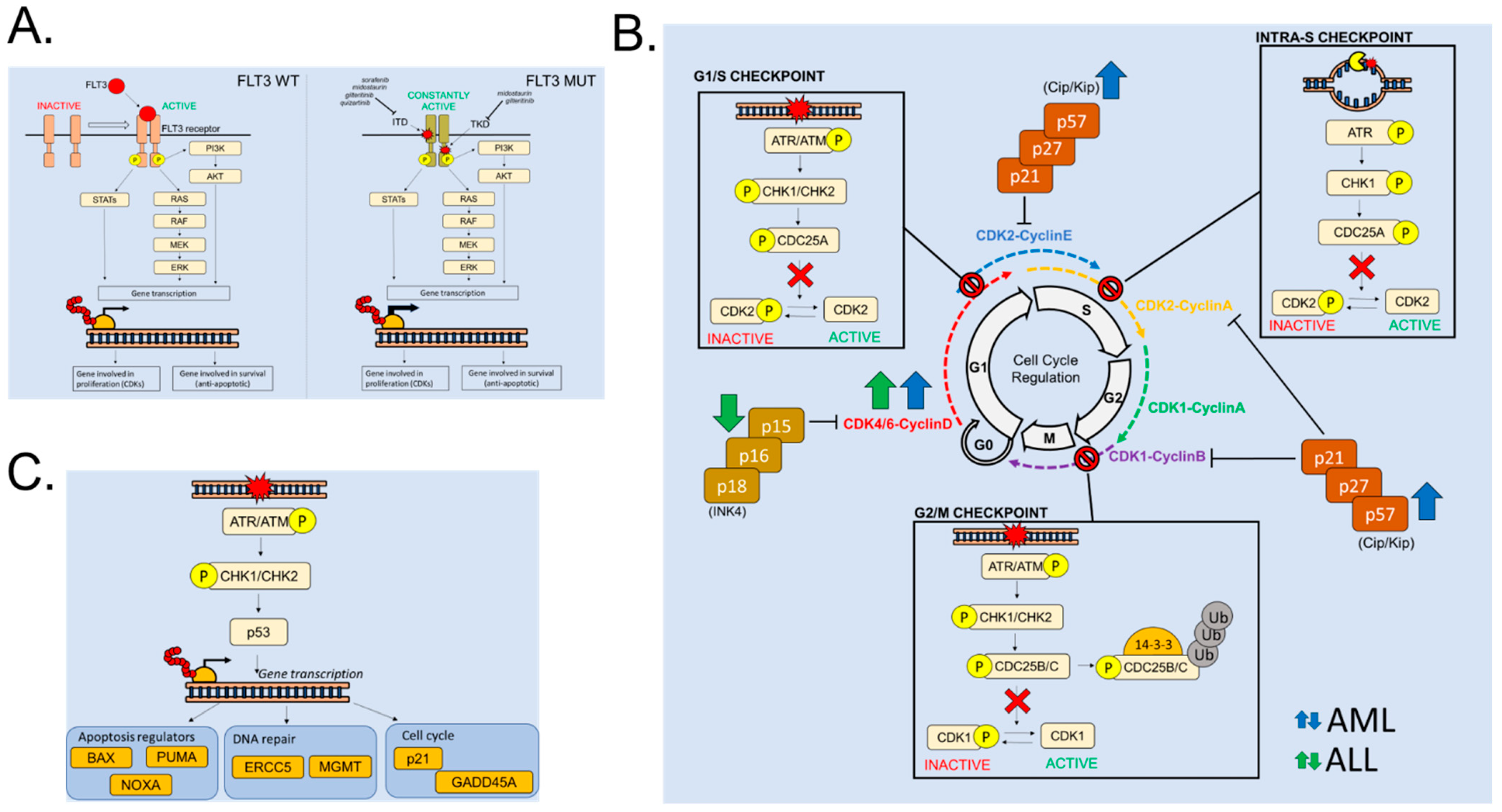 Molecules 28 01224 g001 Molecules 28 01224 g001