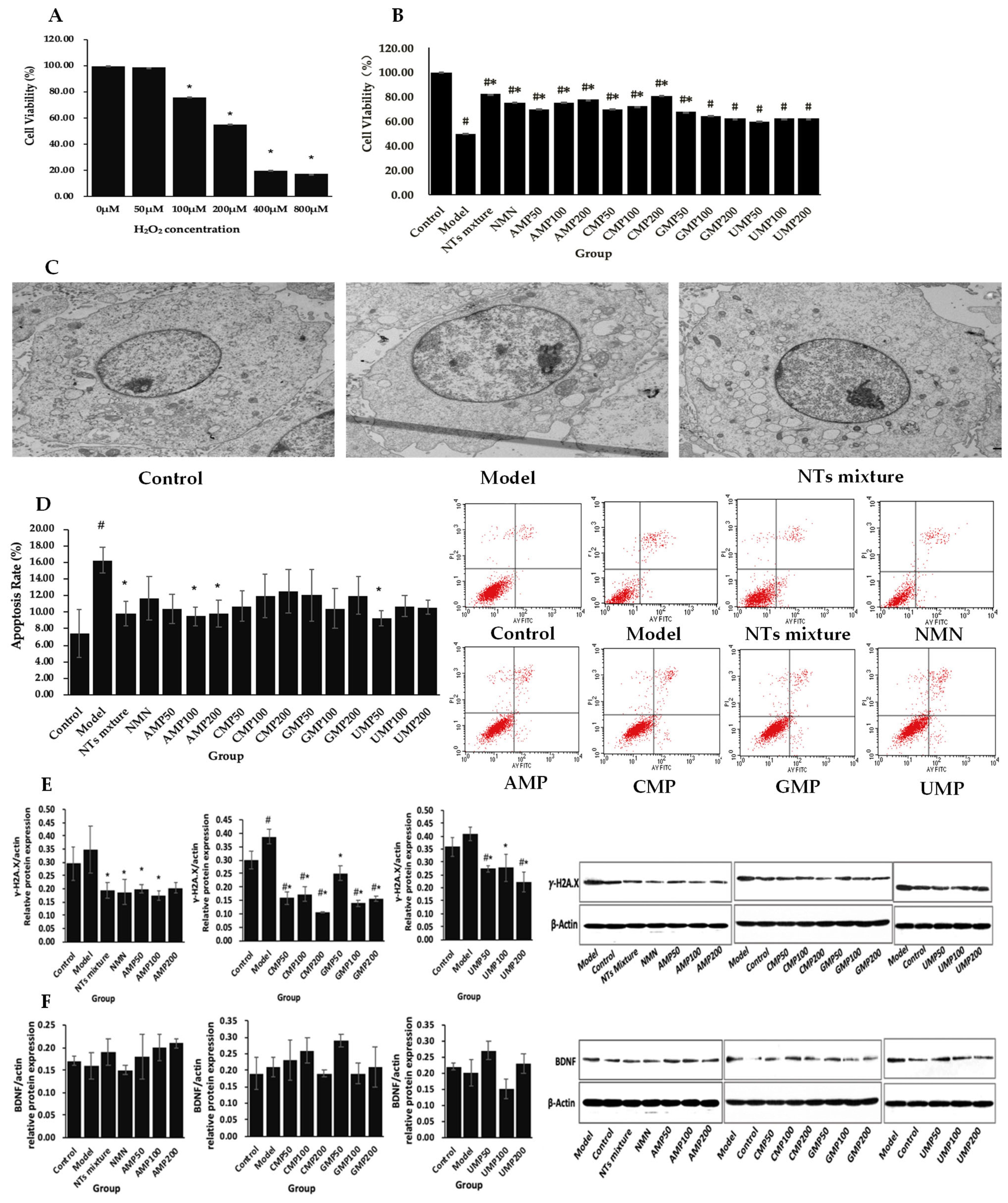 Molecules 28 01226 g001