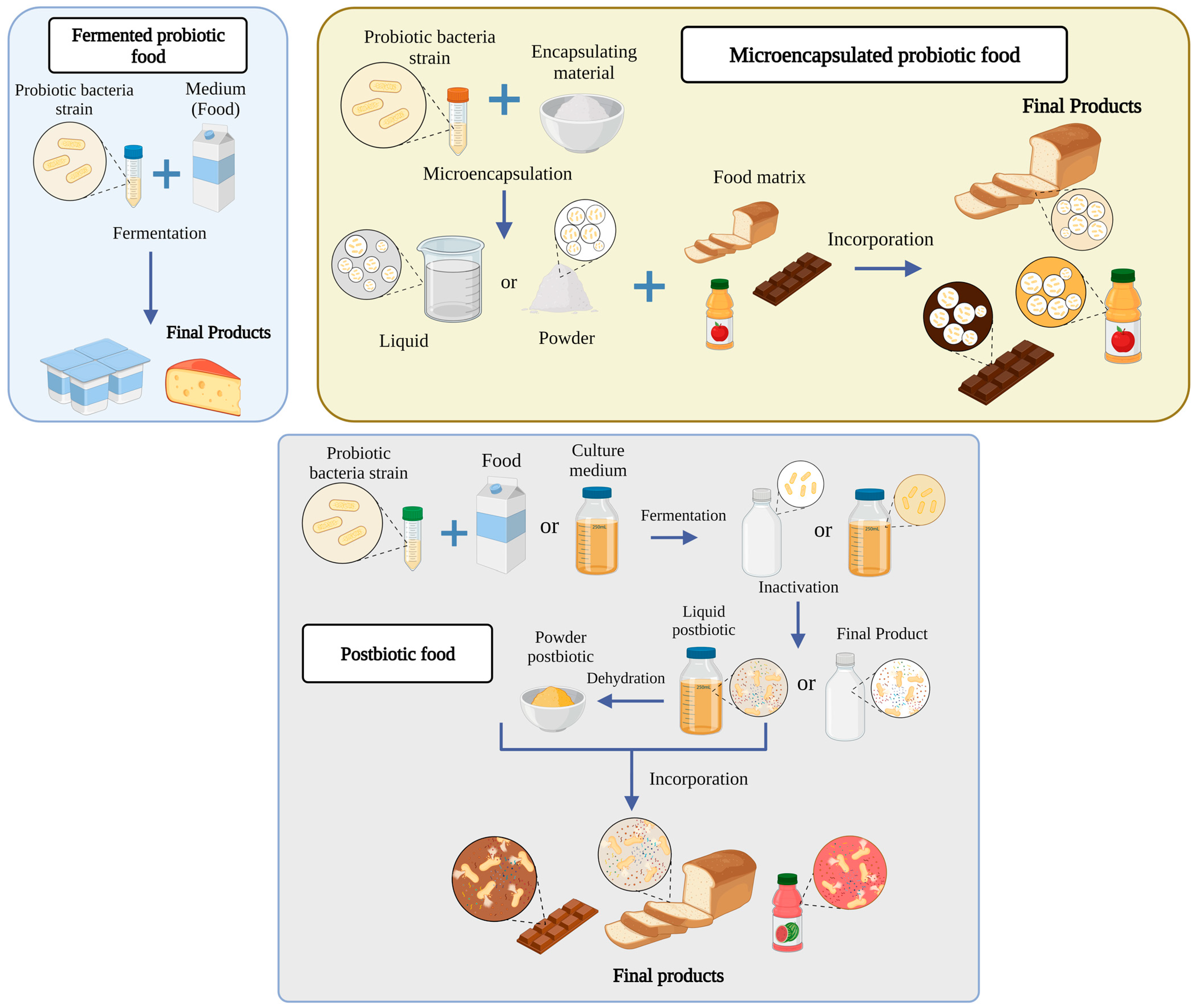Molecules 28 01230 g002