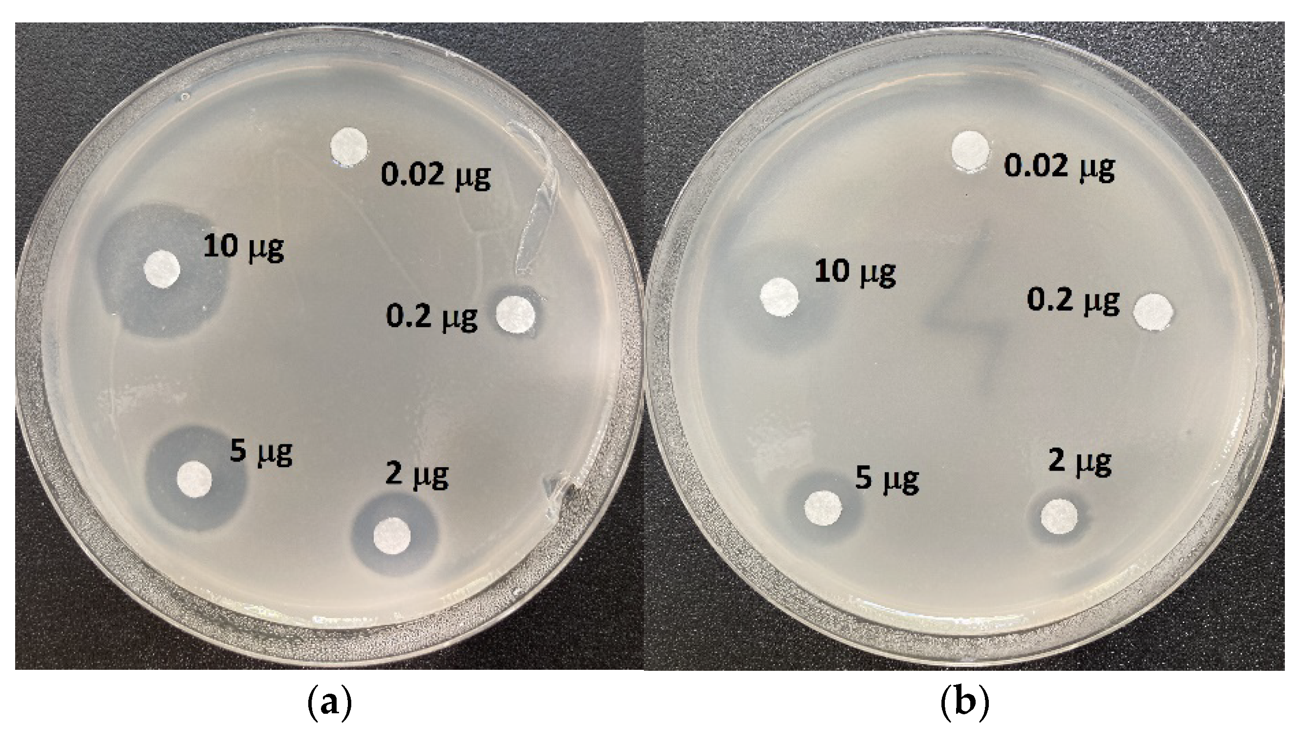 Molecules 28 01234 g003