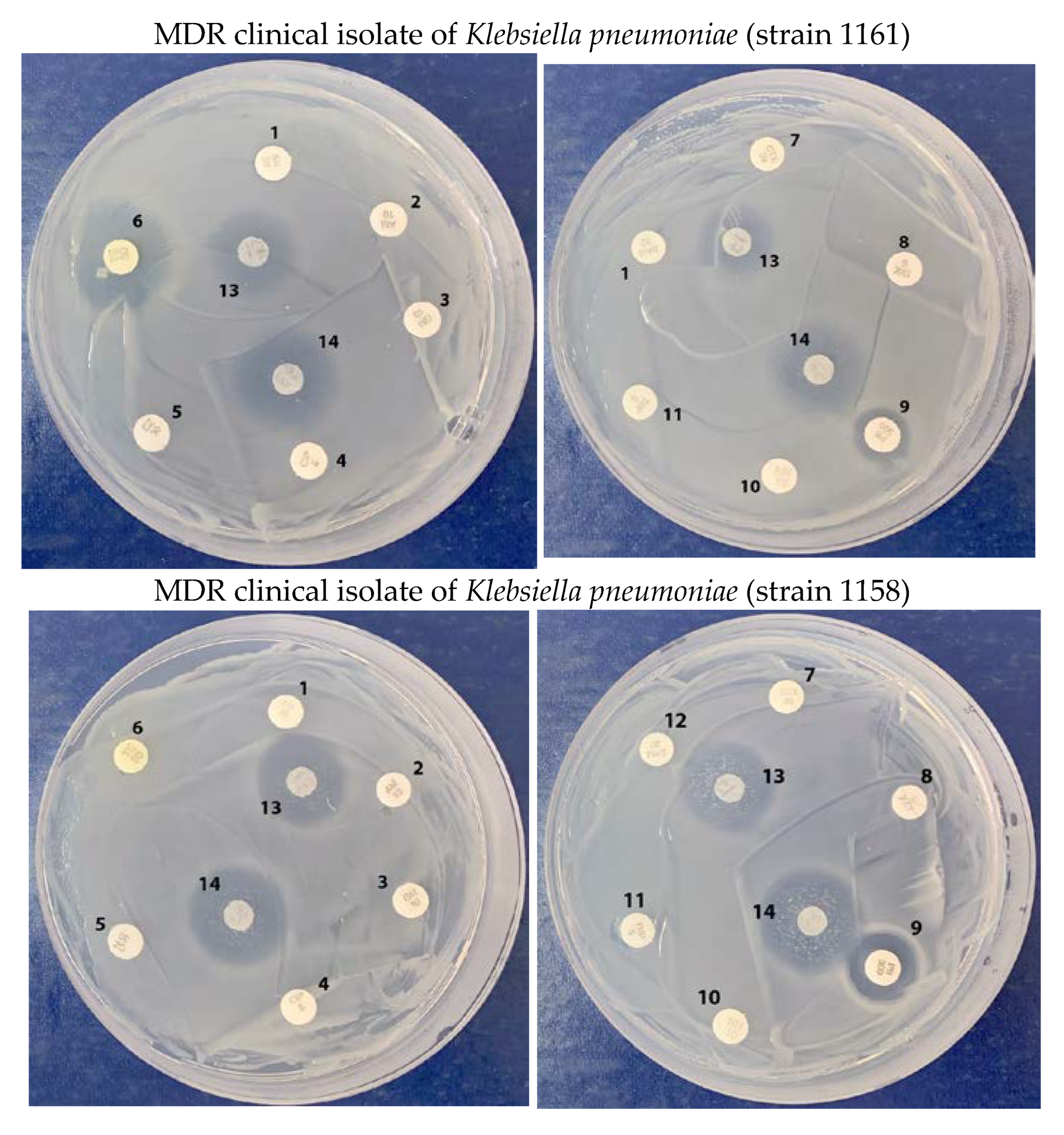 Molecules 28 01234 g005a