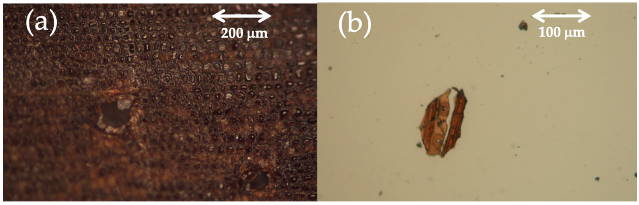 Molecules 28 01235 g007 Molecules 28 01235 g007