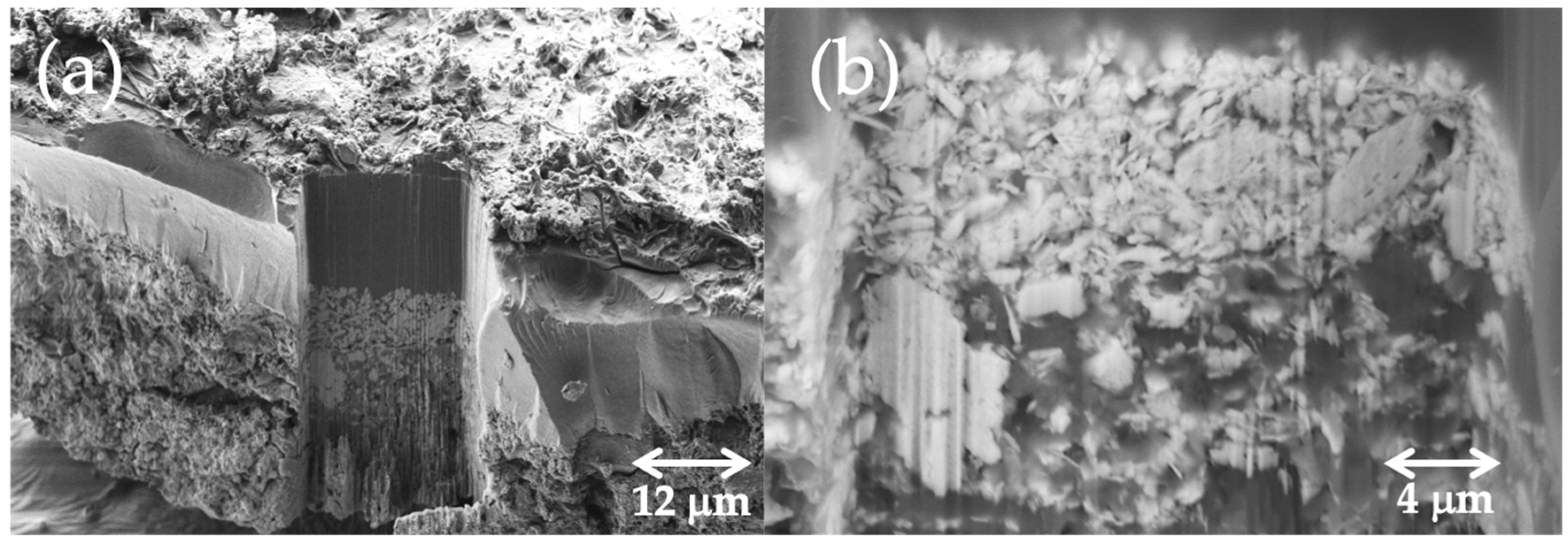 Molecules 28 01235 g009 Molecules 28 01235 g009