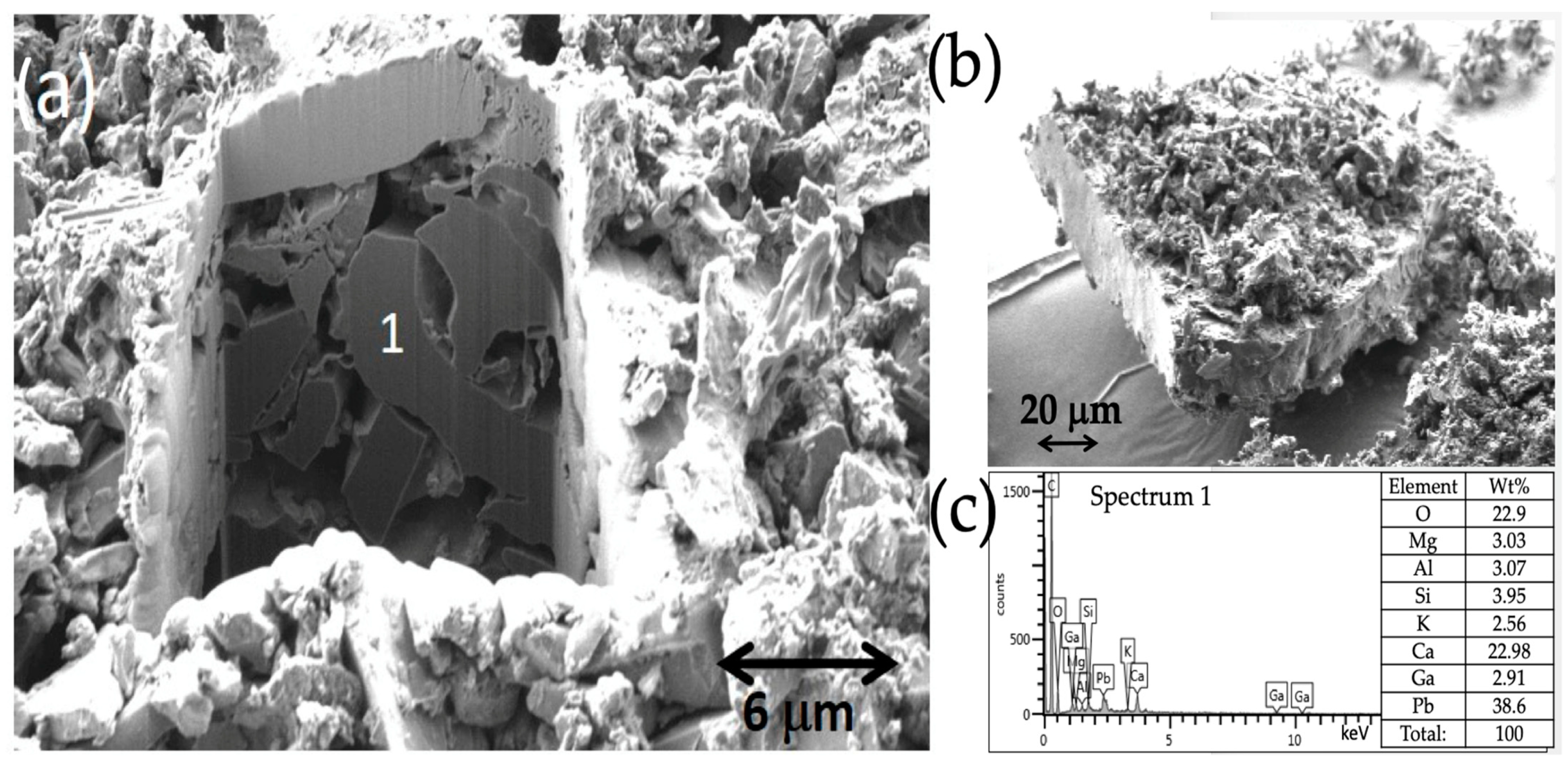 Molecules 28 01235 g011 Molecules 28 01235 g011