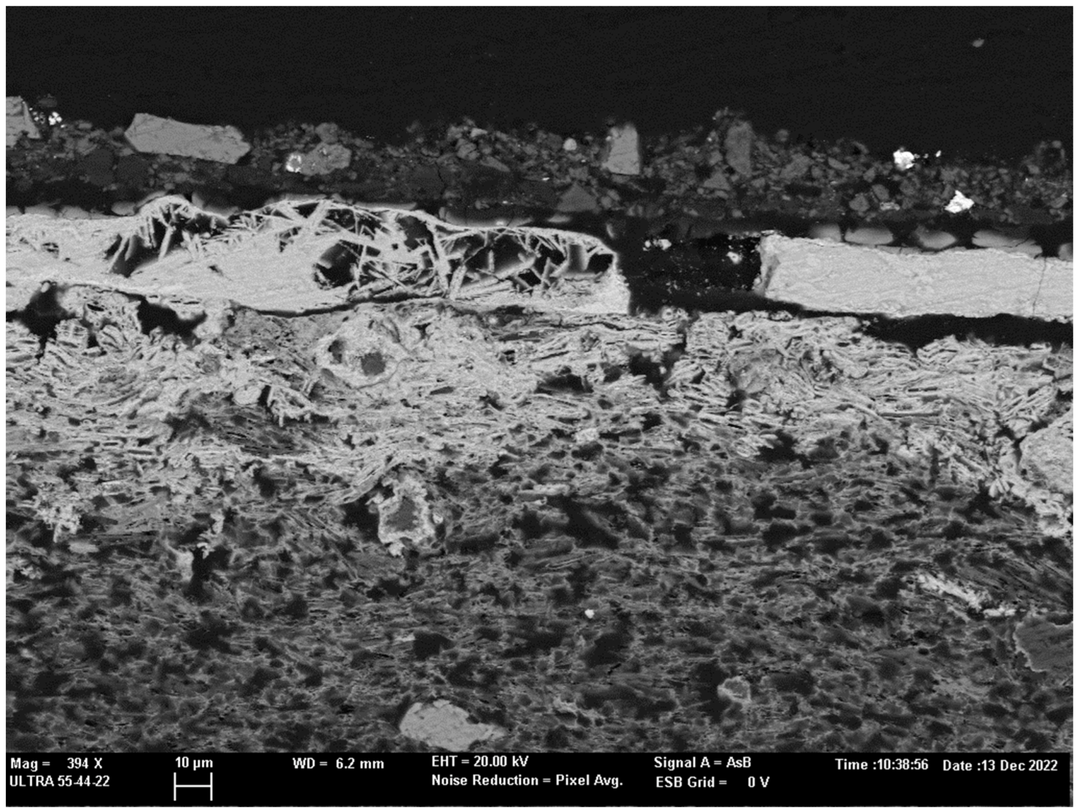 Molecules 28 01235 g013 Molecules 28 01235 g013
