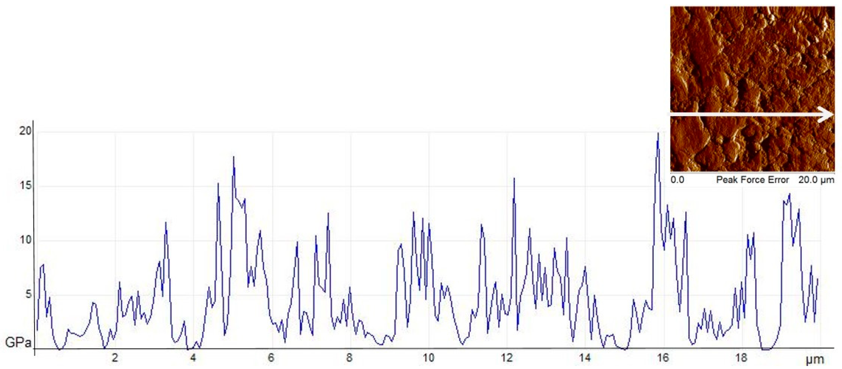 Molecules 28 01235 g015 Molecules 28 01235 g015