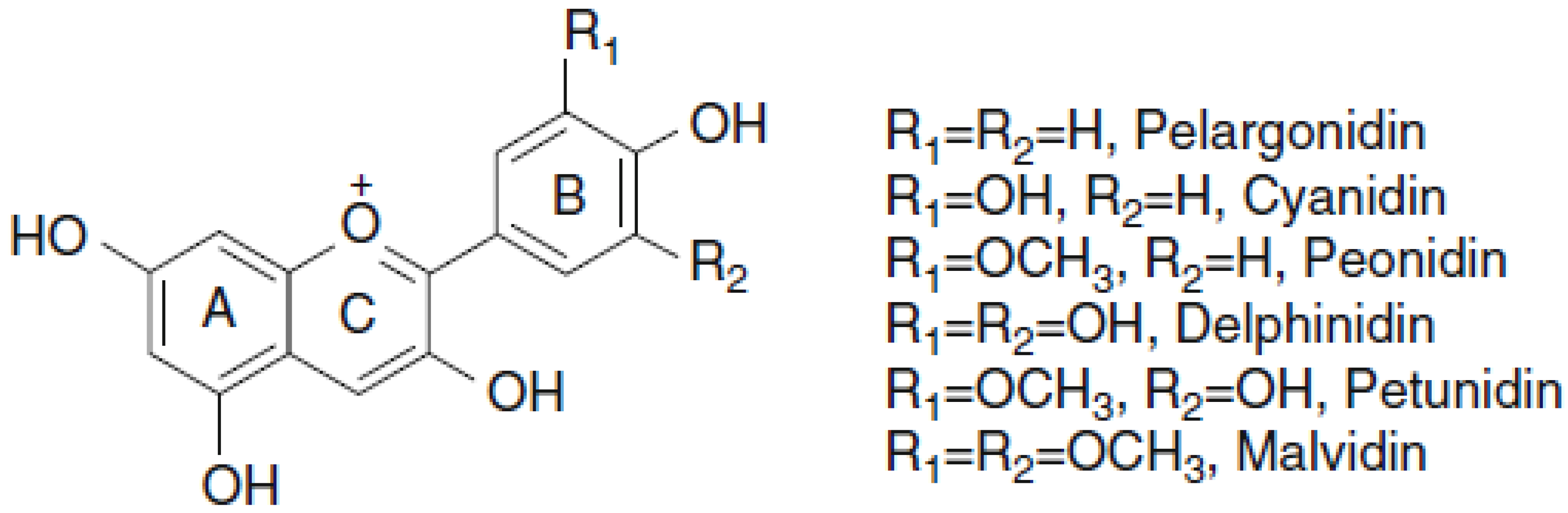 Molecules 28 01237 g002