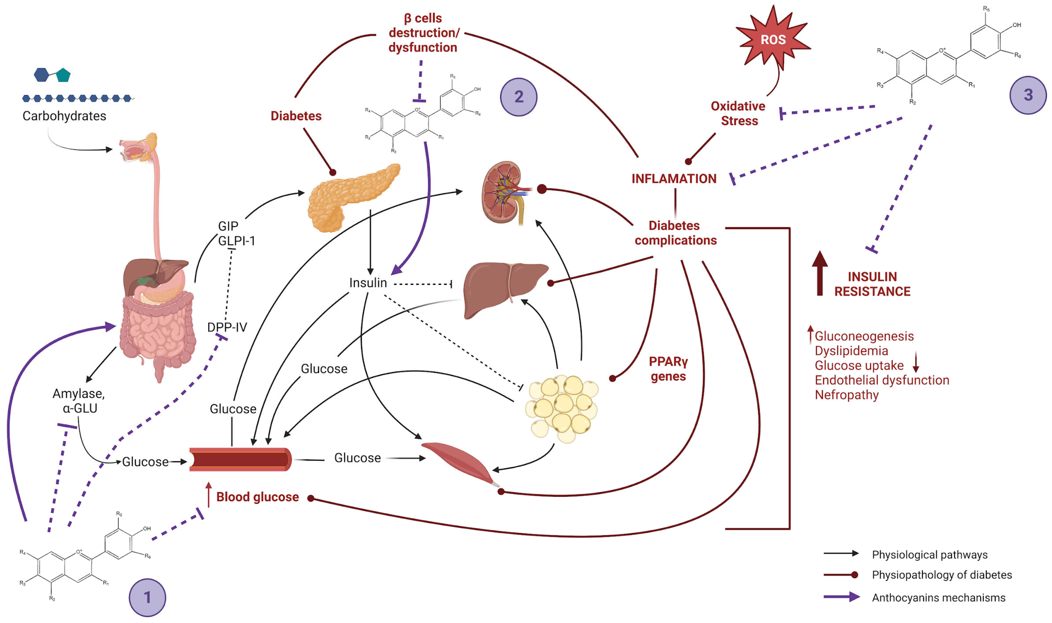 Molecules 28 01237 g003
