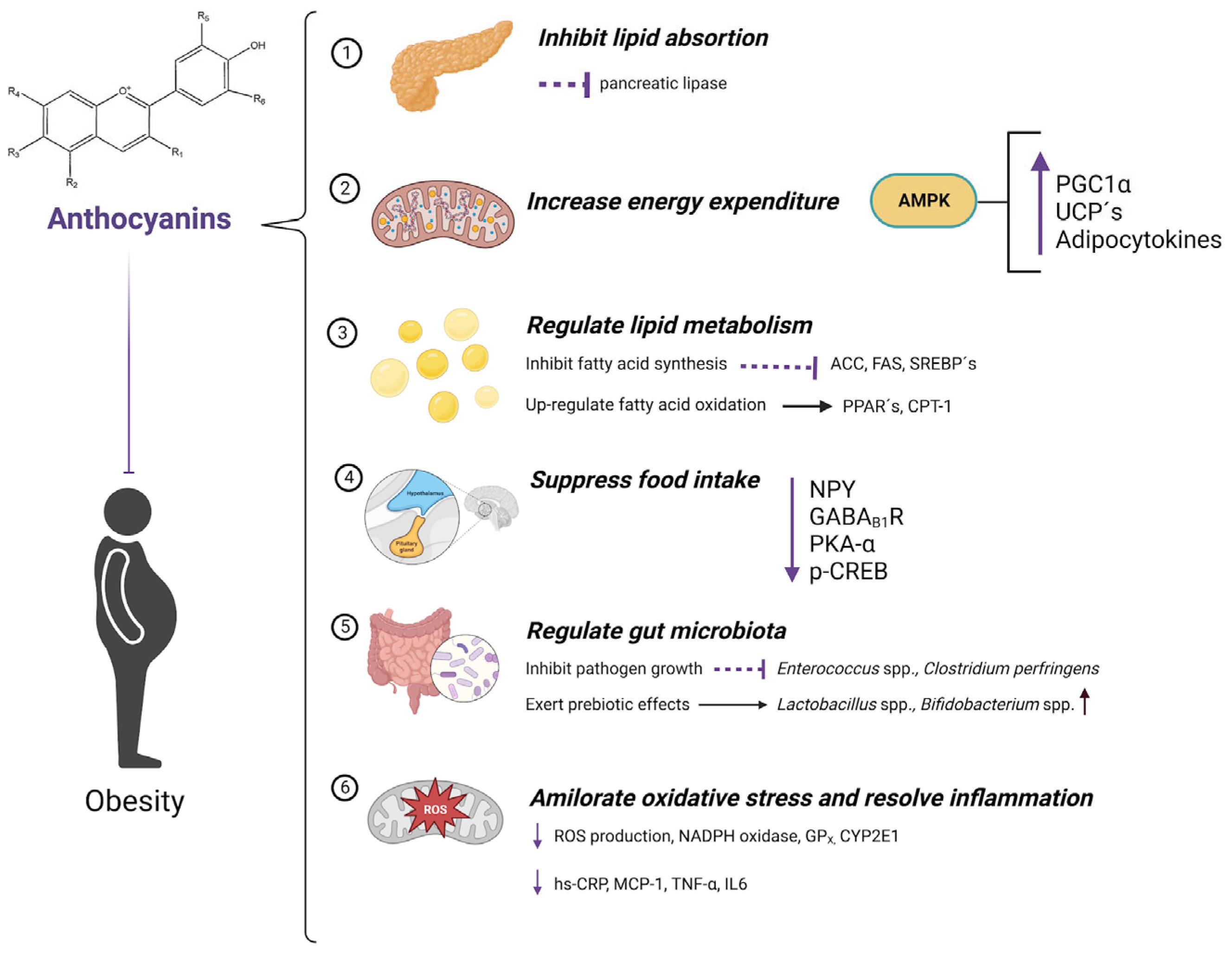 Molecules 28 01237 g004