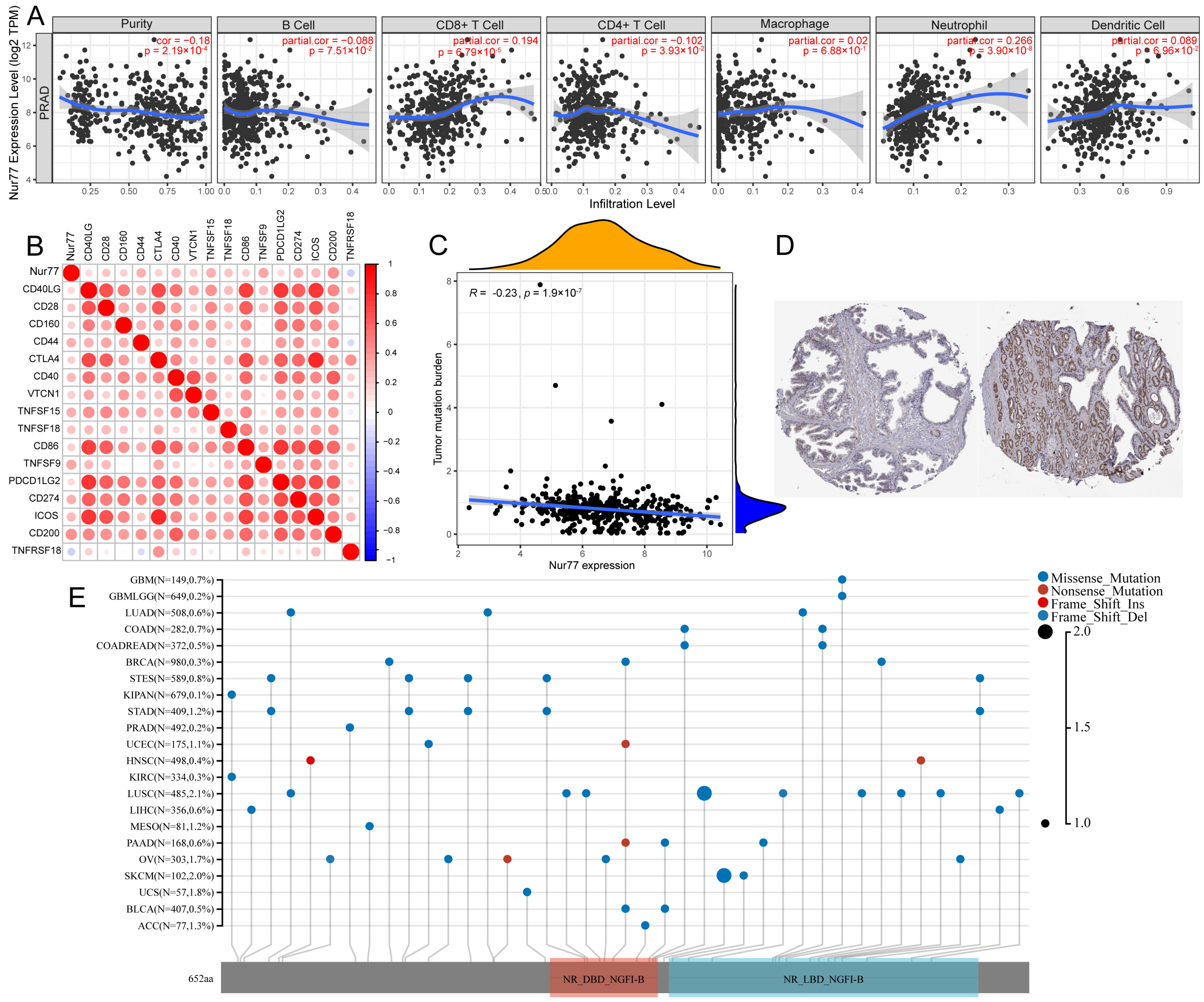 Molecules 28 01238 g003 Molecules 28 01238 g003