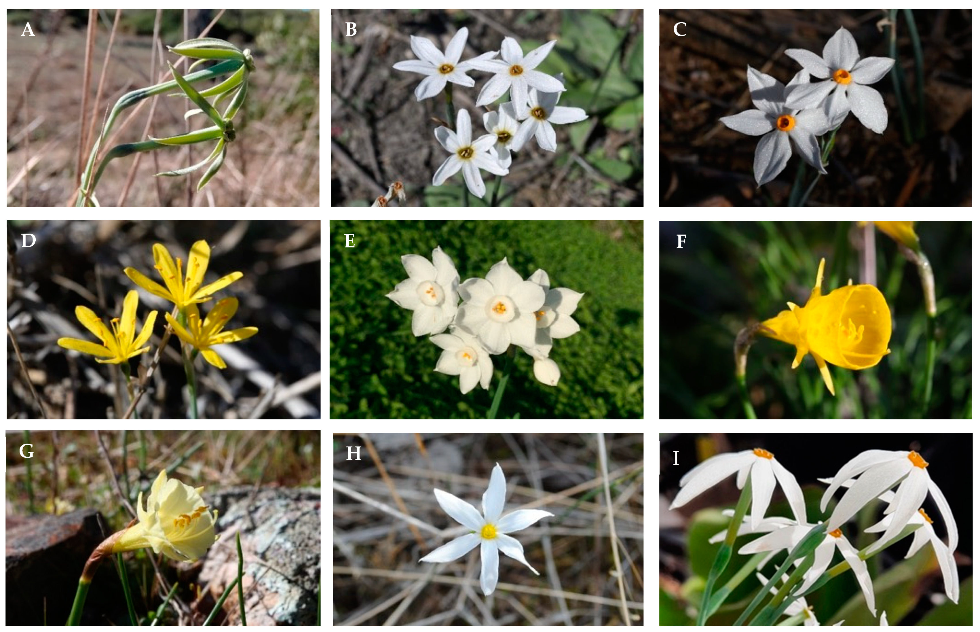 Molecules 28 01239 g0a1