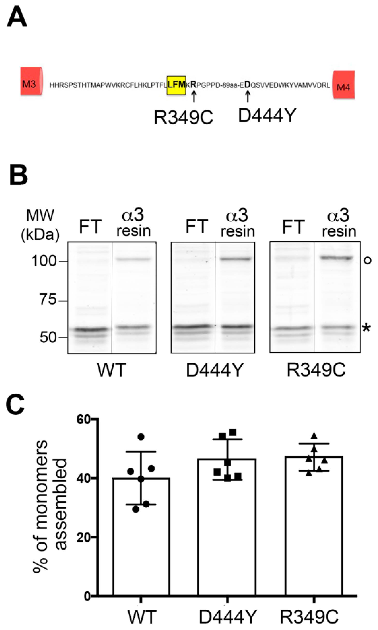 Molecules 28 01247 g001 Molecules 28 01247 g001