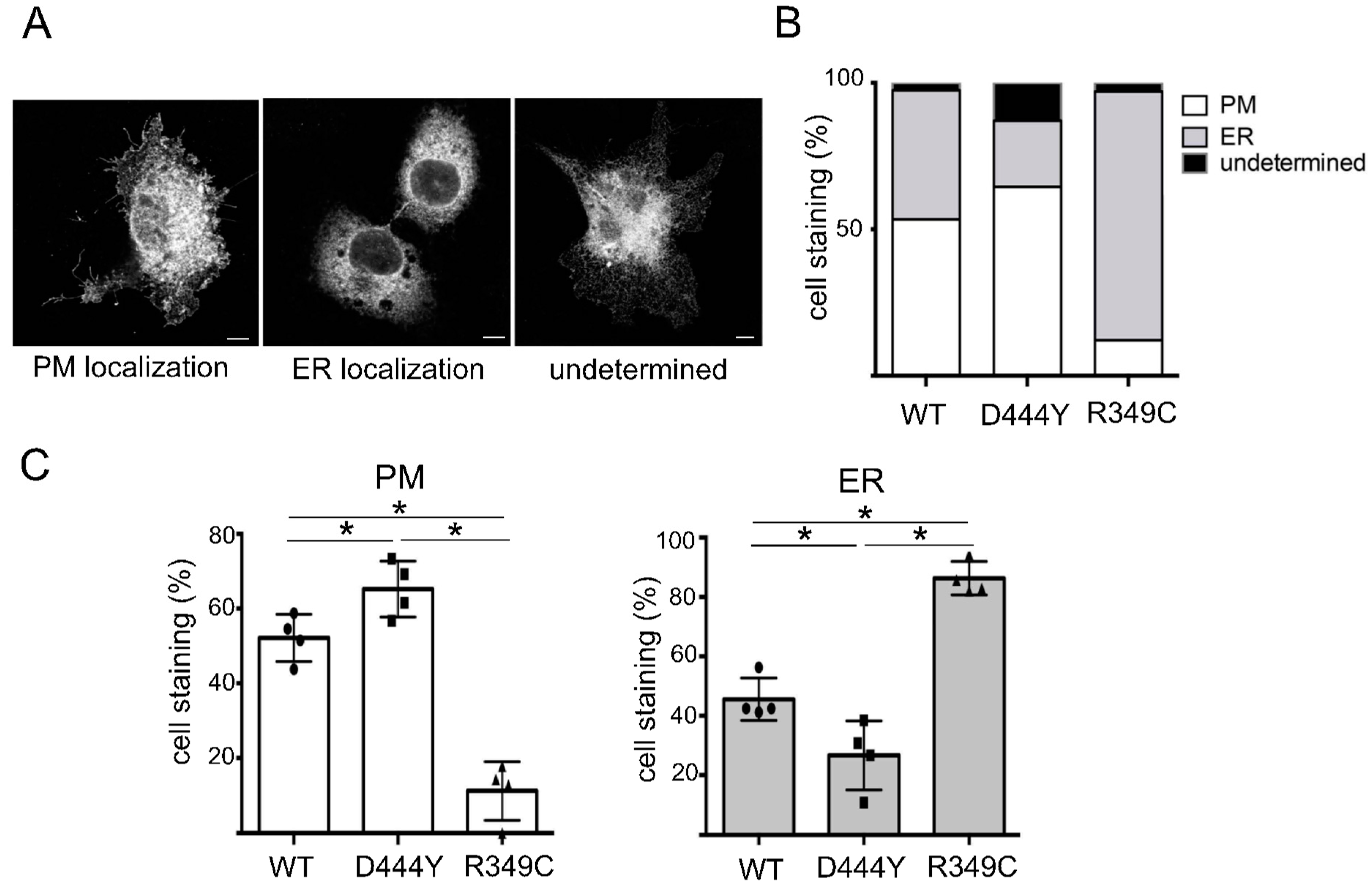 Molecules 28 01247 g003 Molecules 28 01247 g003