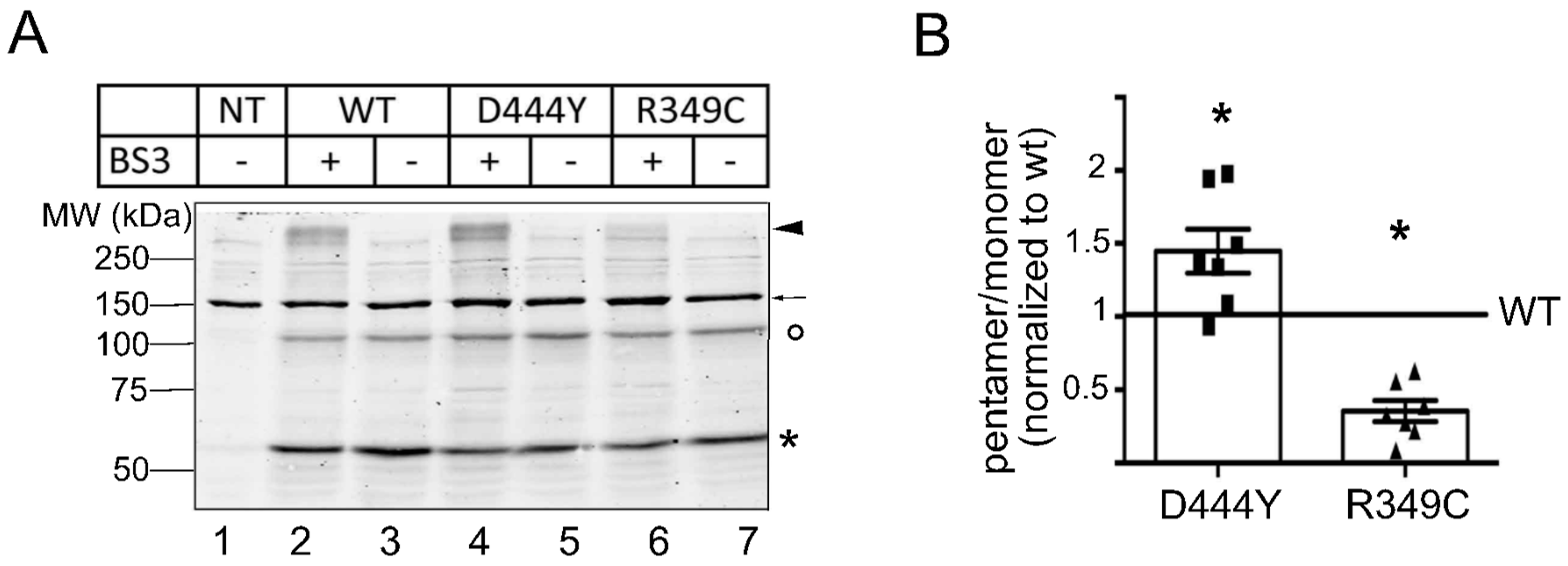 Molecules 28 01247 g004 Molecules 28 01247 g004