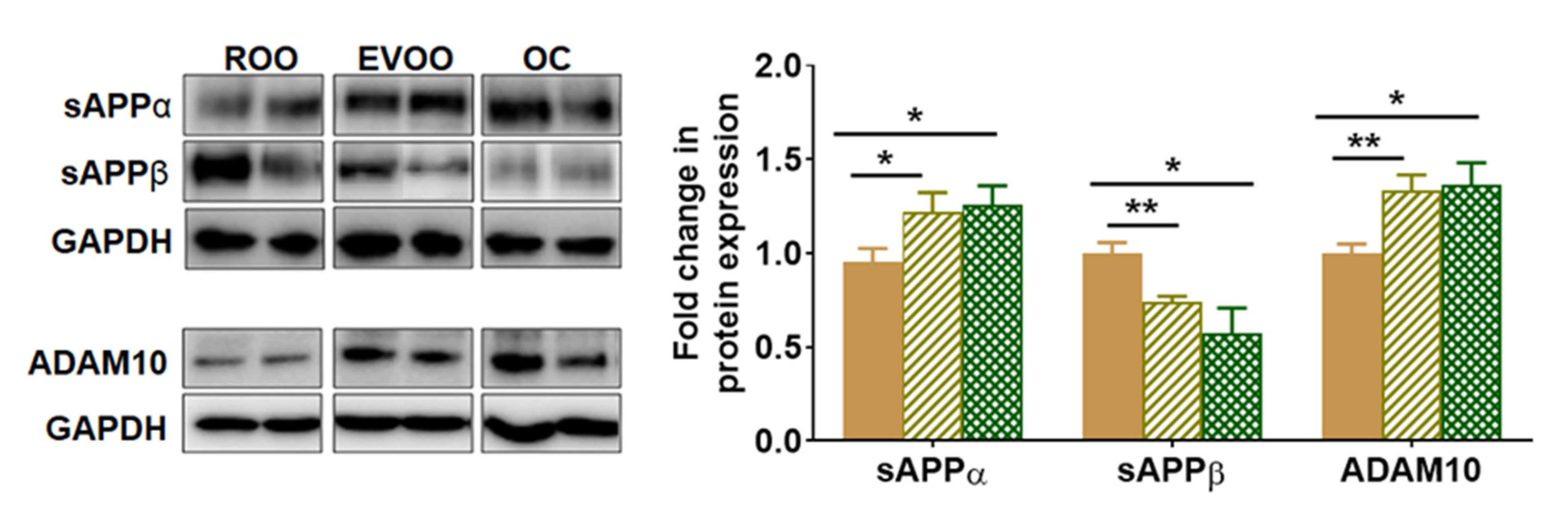 Molecules 28 01249 g003