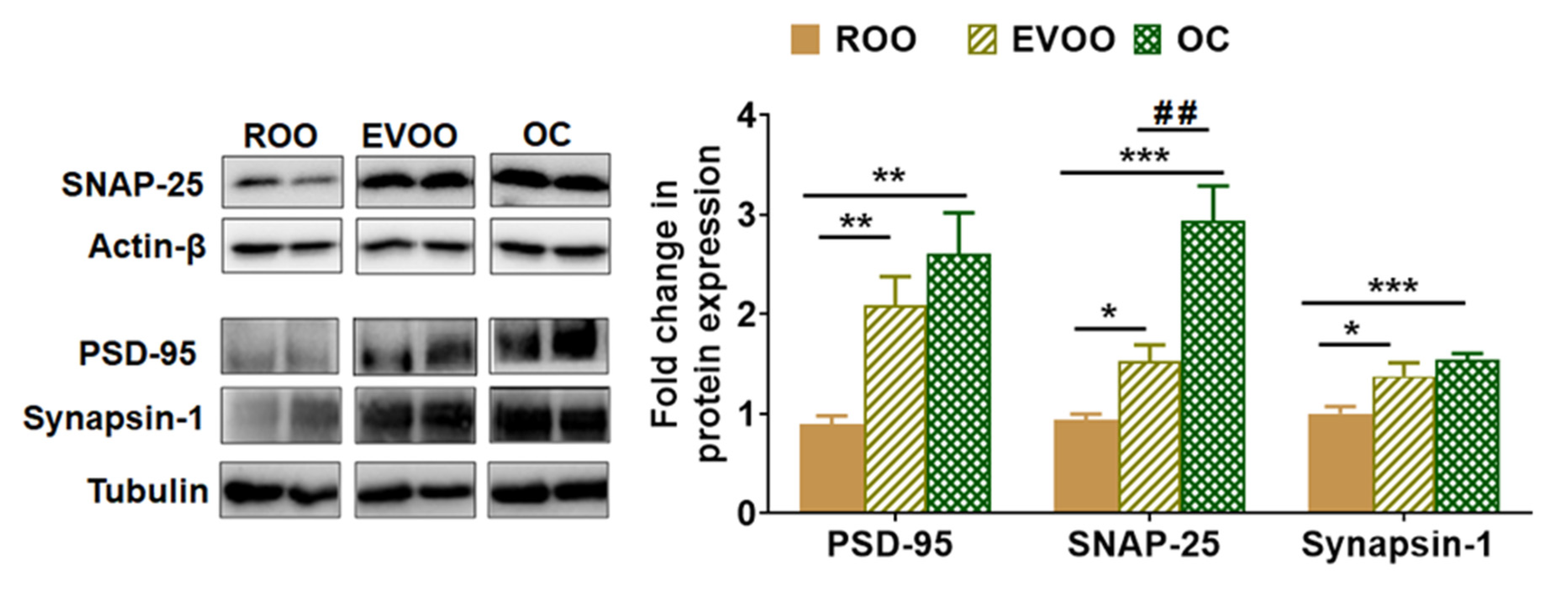 Molecules 28 01249 g004
