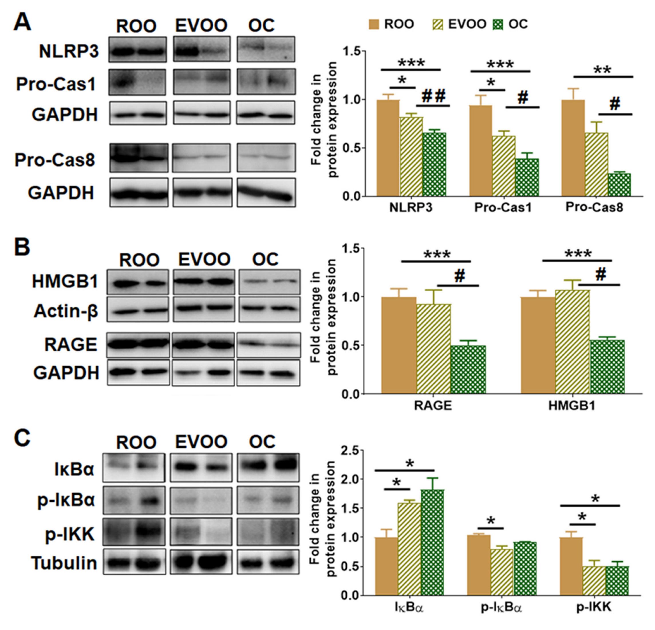 Molecules 28 01249 g006