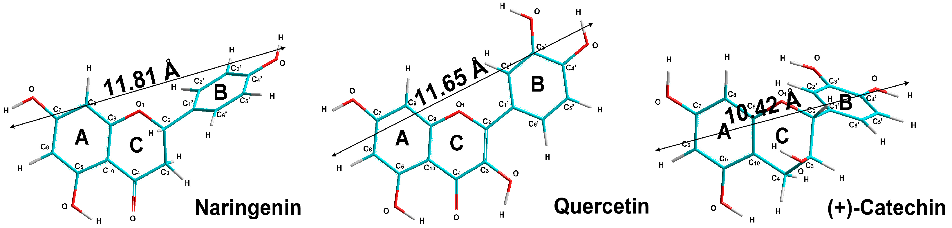 Molecules 28 01252 g001