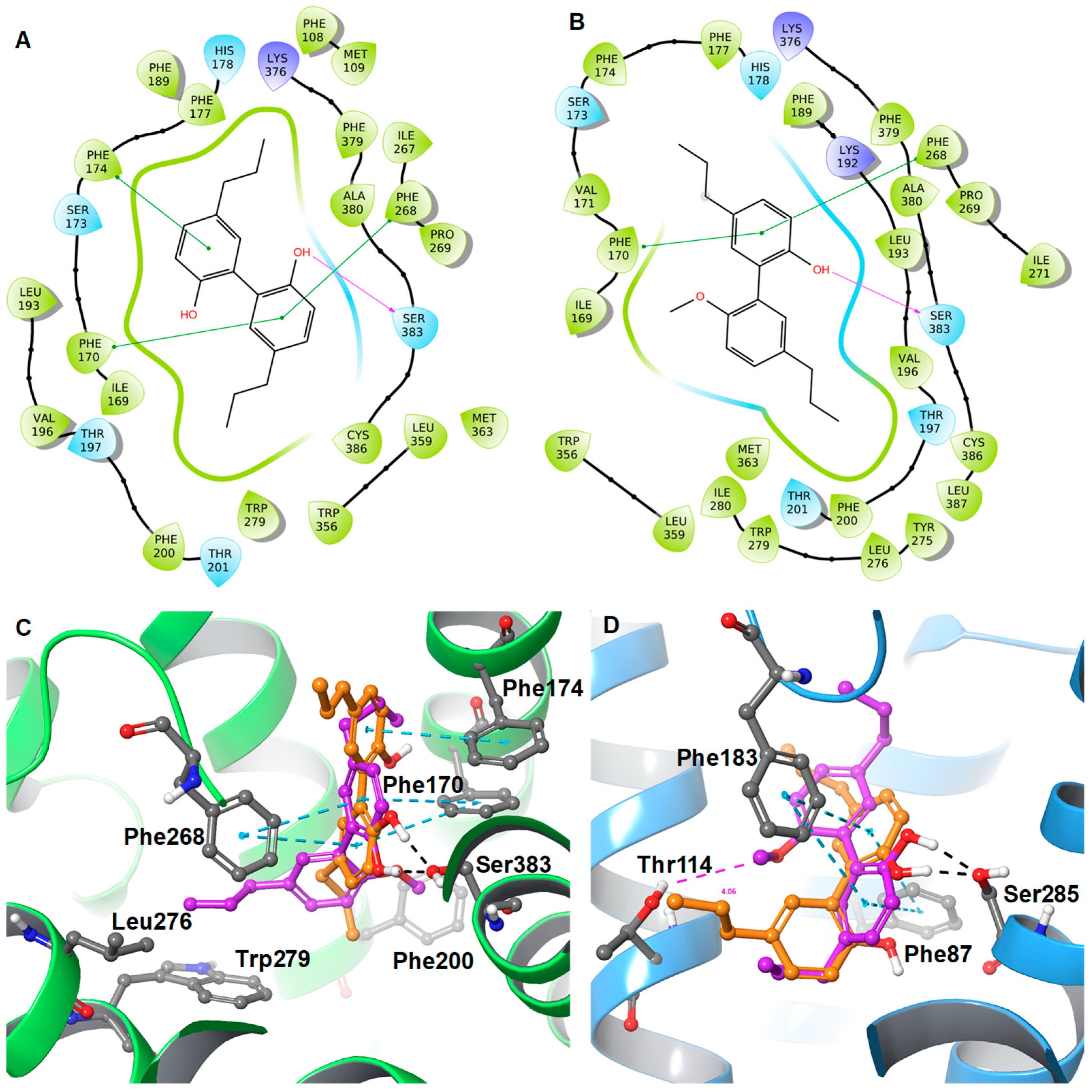 Molecules 28 01253 g005 Molecules 28 01253 g005