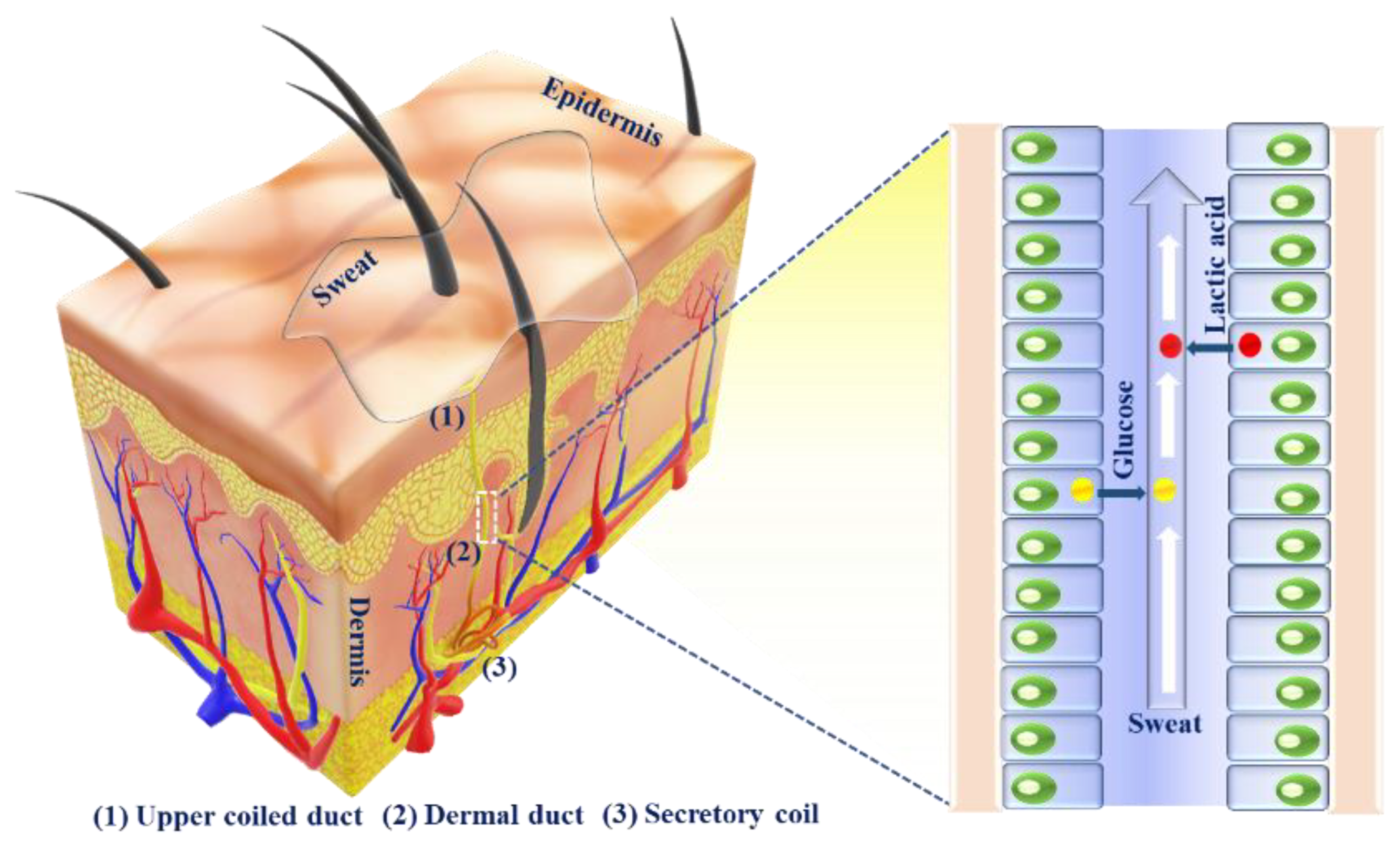 Molecules 28 01259 g002