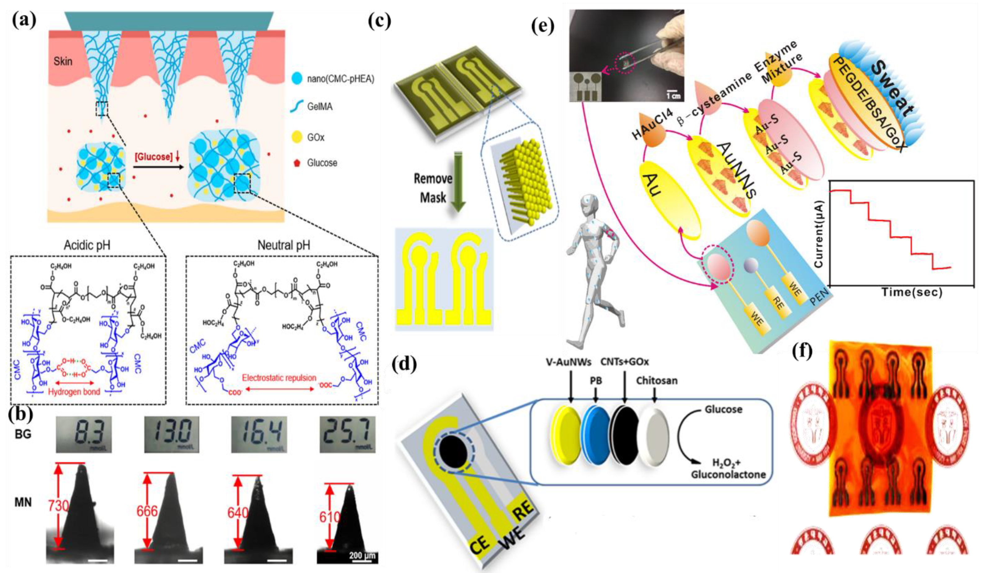 Molecules 28 01259 g010