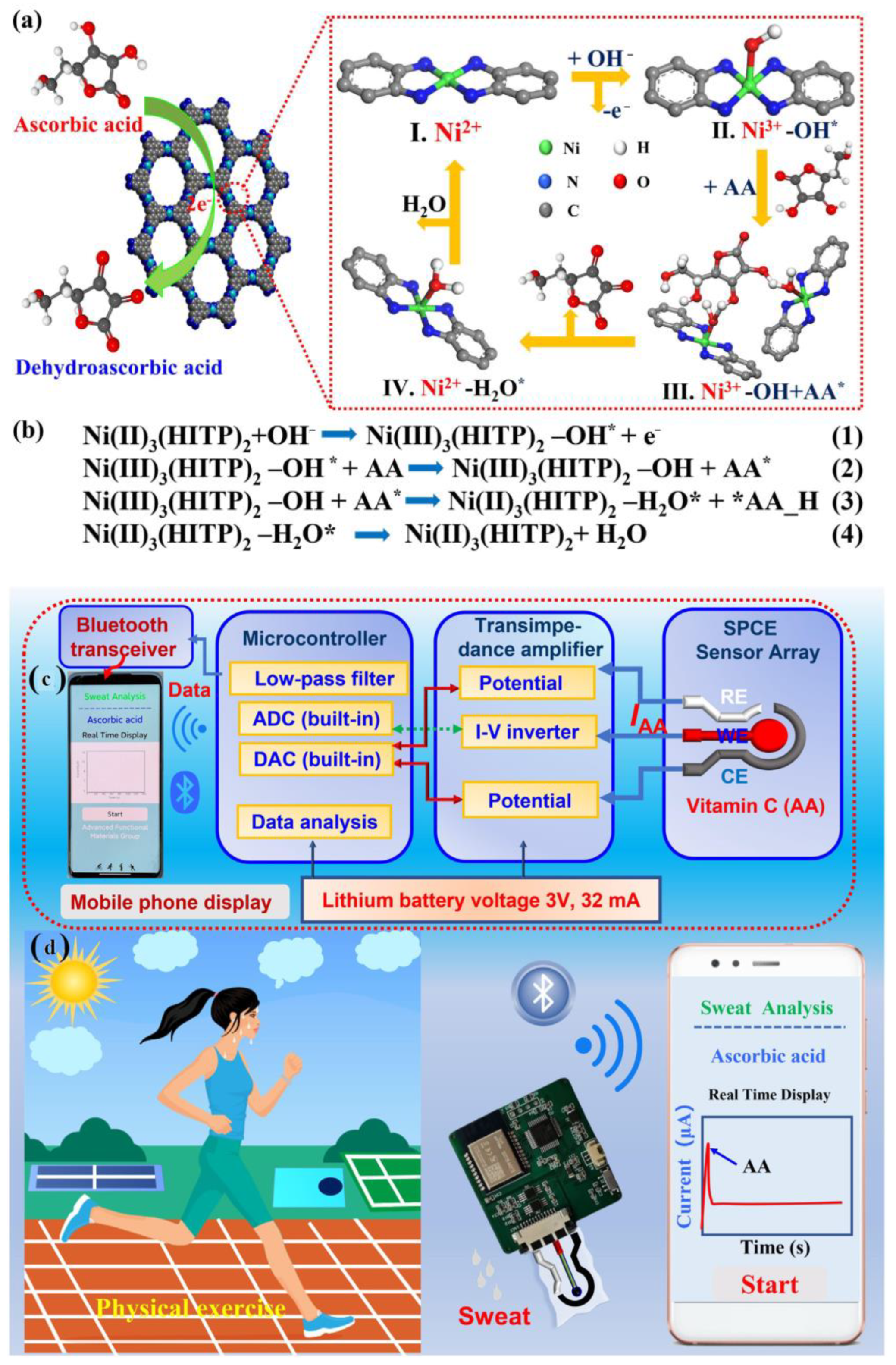 Molecules 28 01259 g015