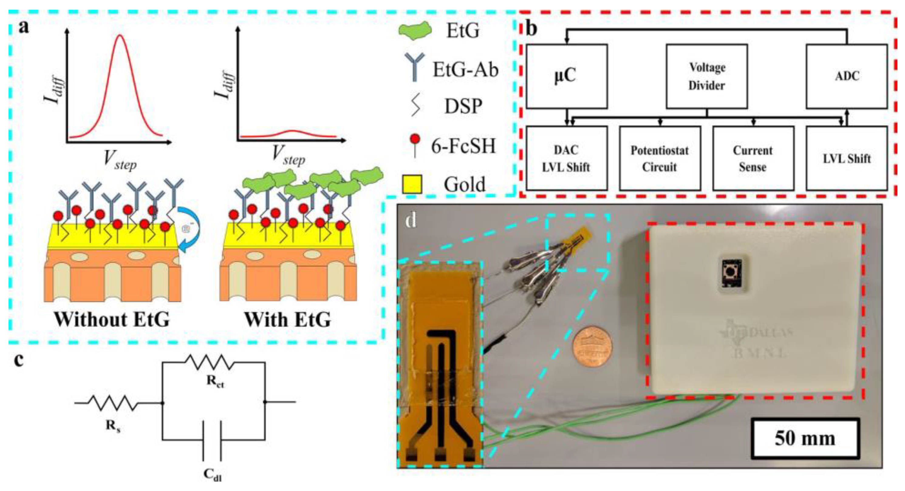 Molecules 28 01259 g020