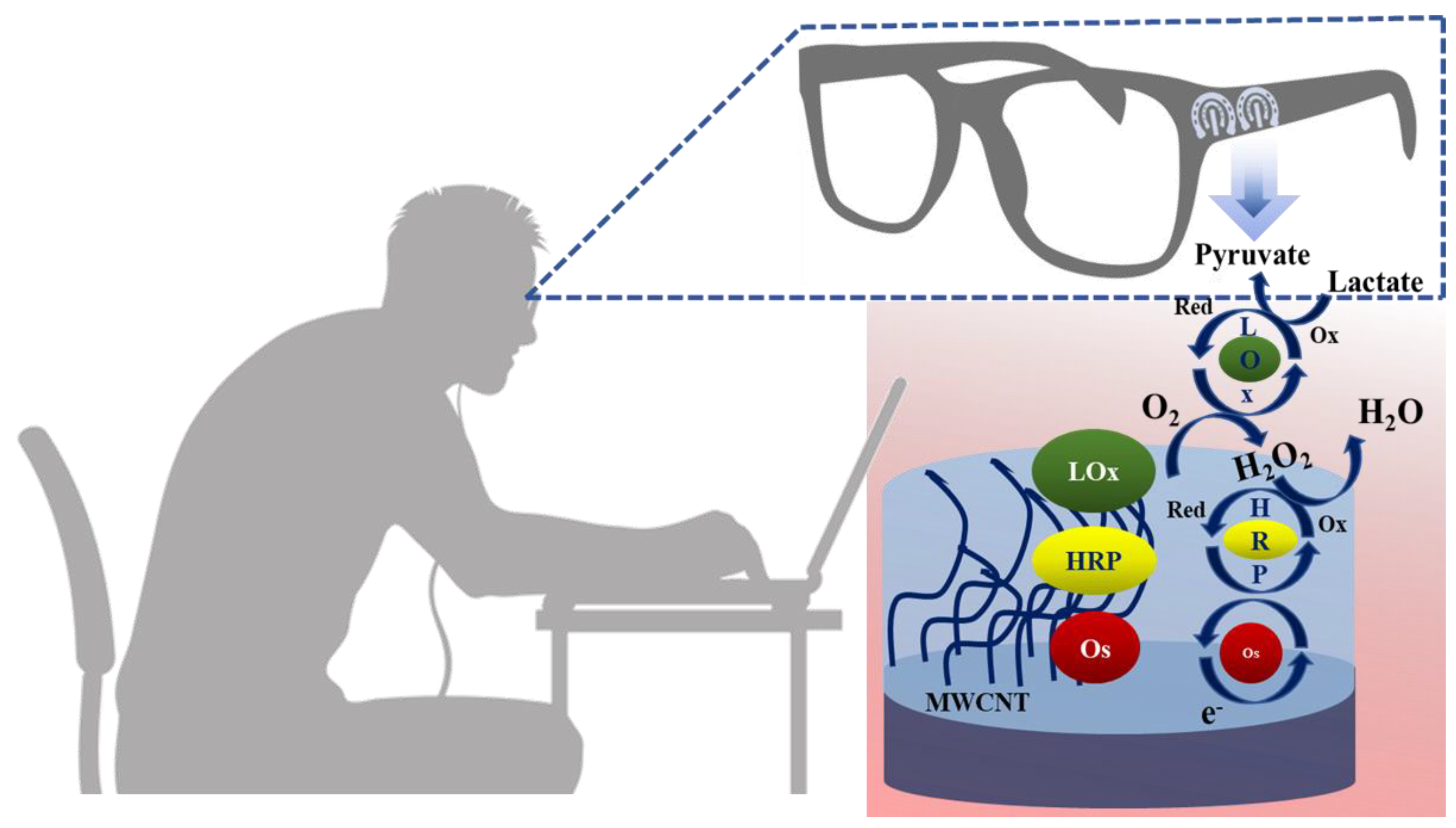 Molecules 28 01259 g022